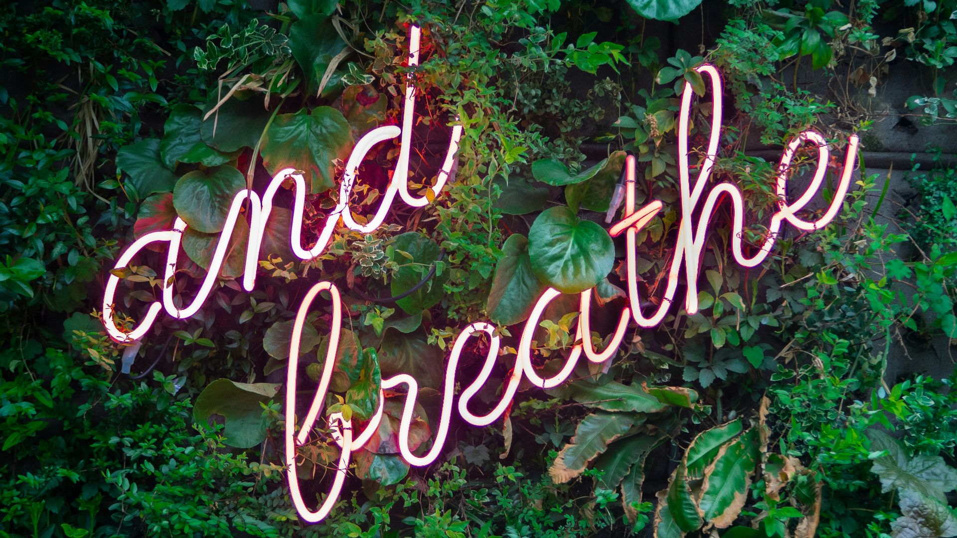 and breathe neon sign on tre