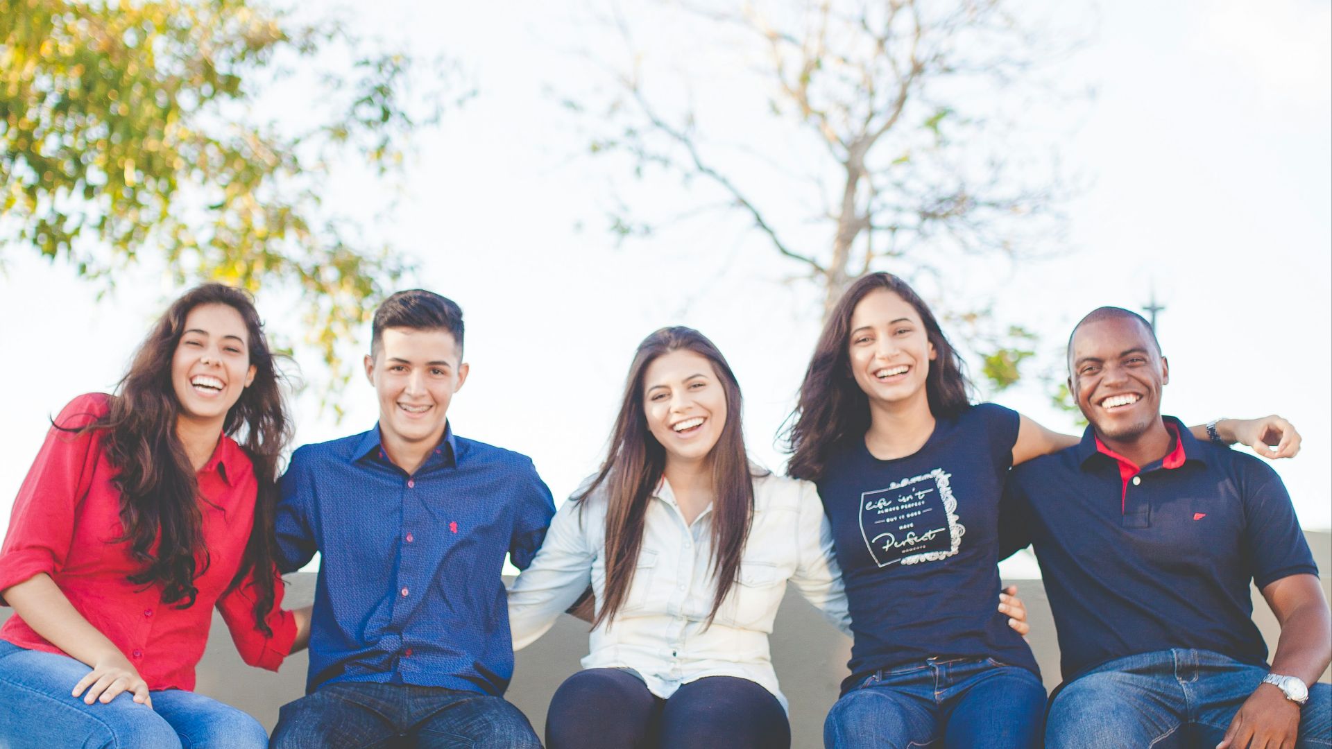 group of people sitting on bench near trees duting daytime