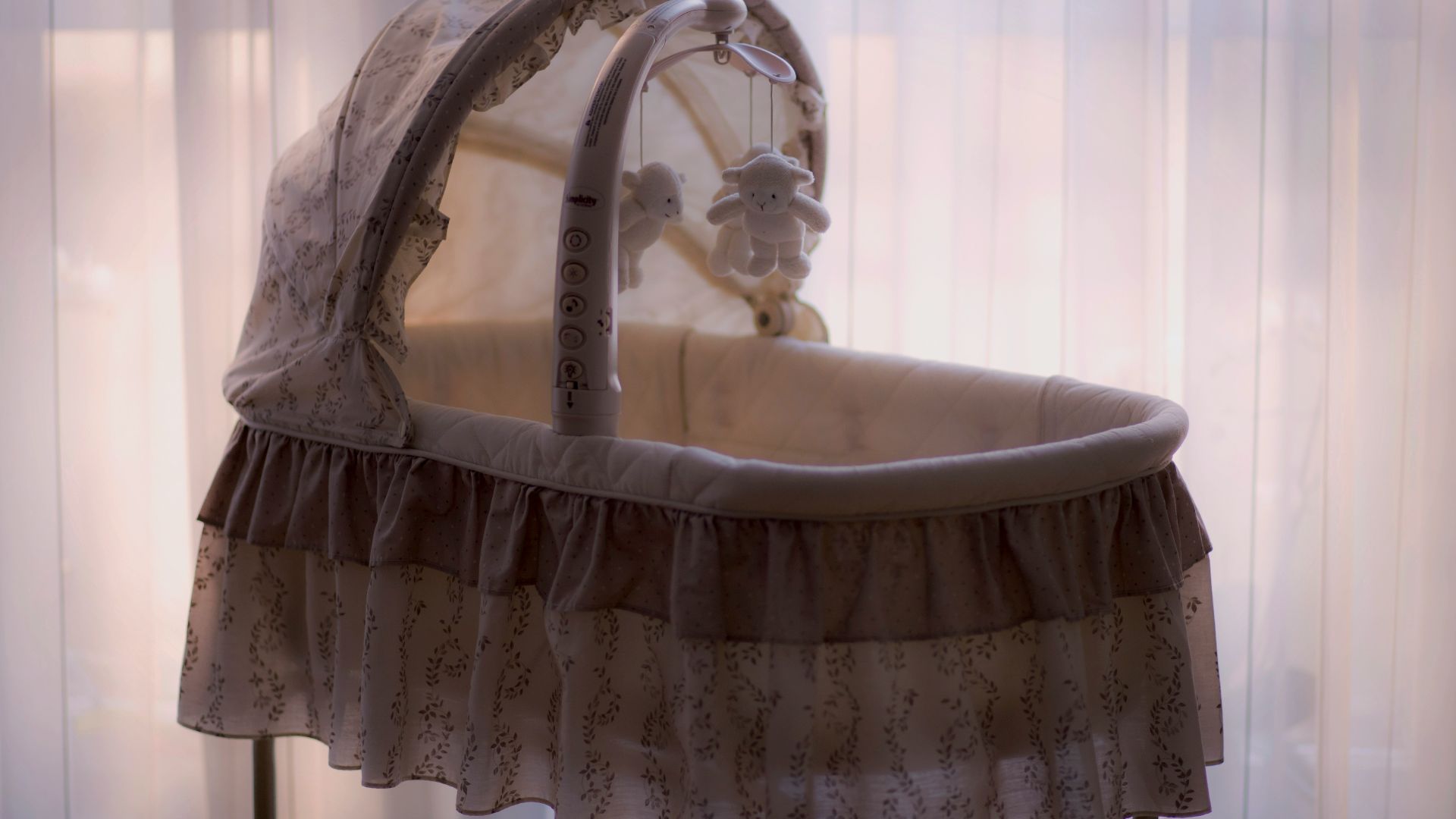 baby's white and black bassinet