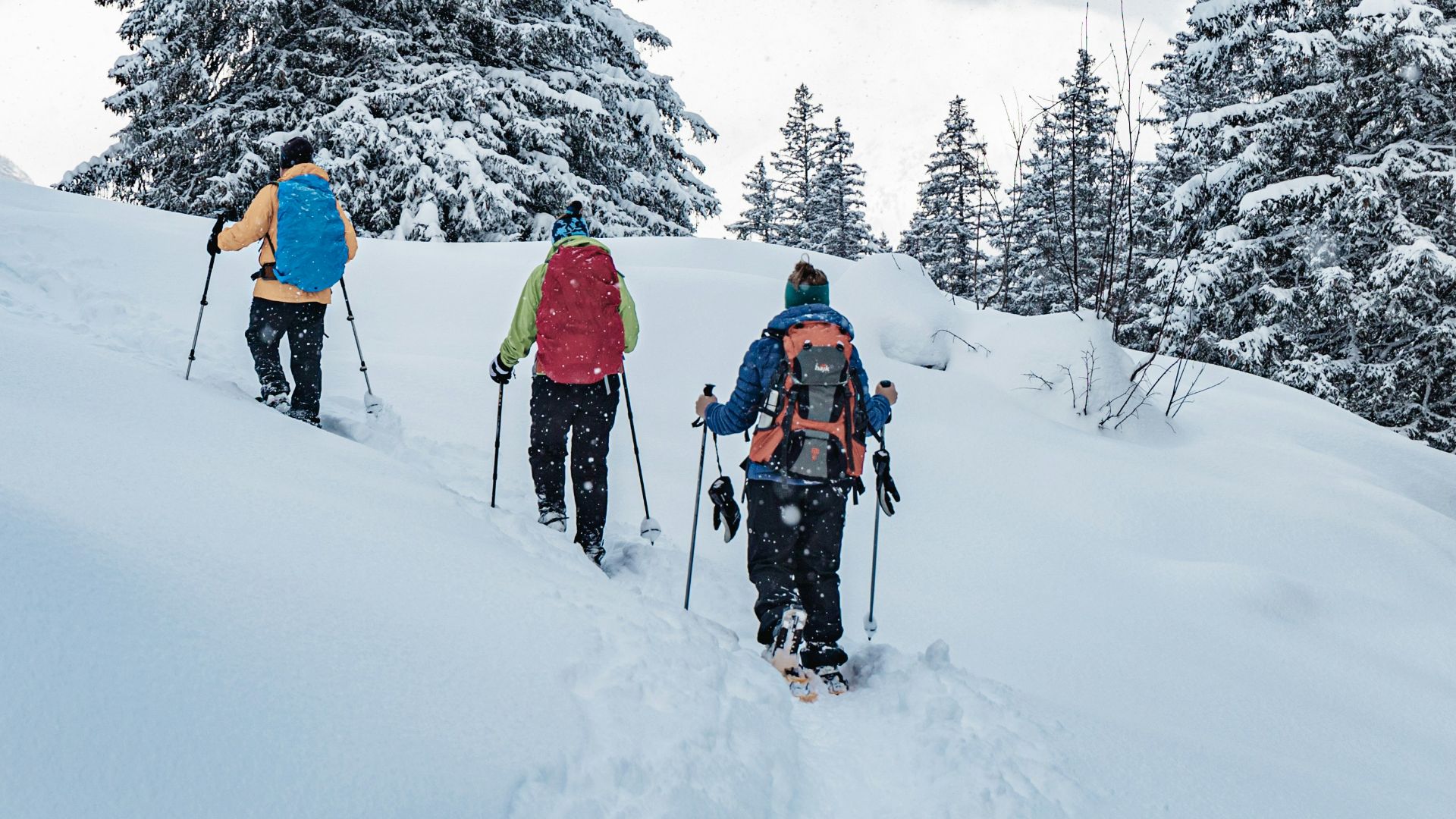 a group of people riding skis down a snow covered slope