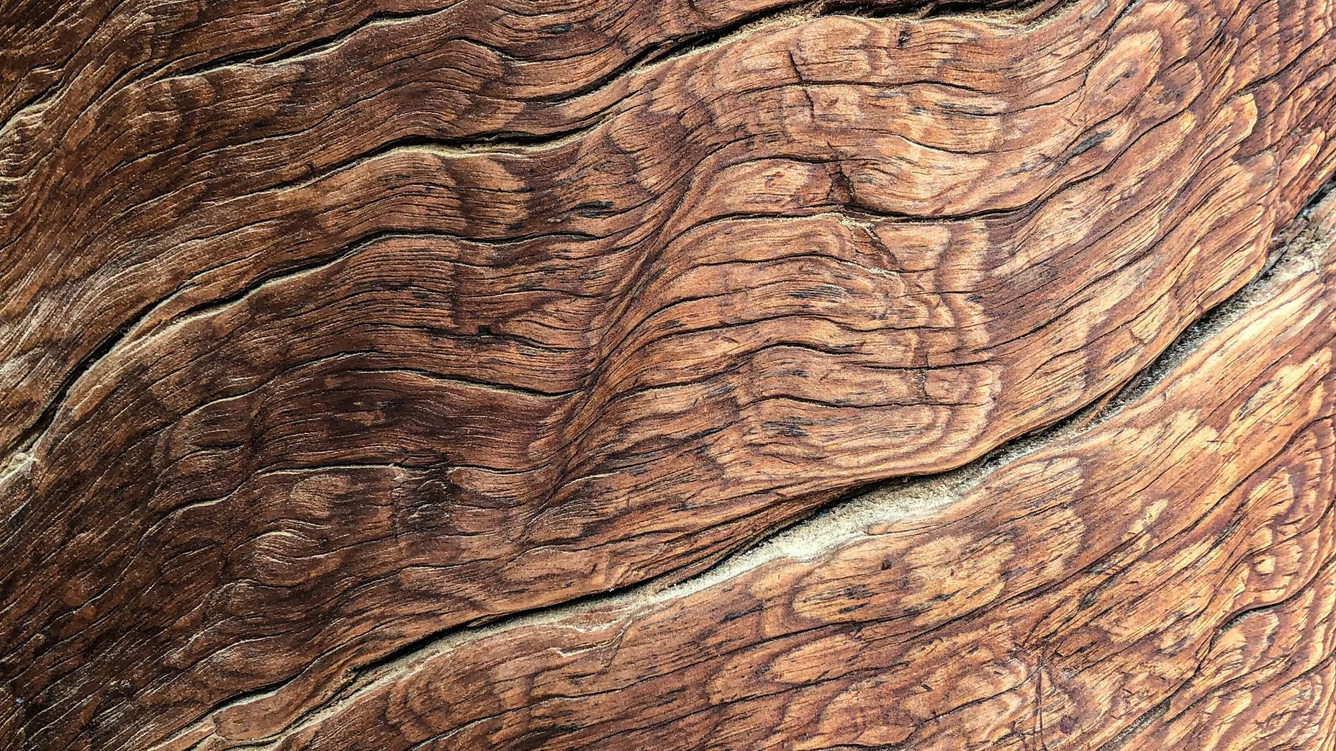 1790962751711ab4e1e053a6b77c9fc6da6e70153a14286591.jpg
