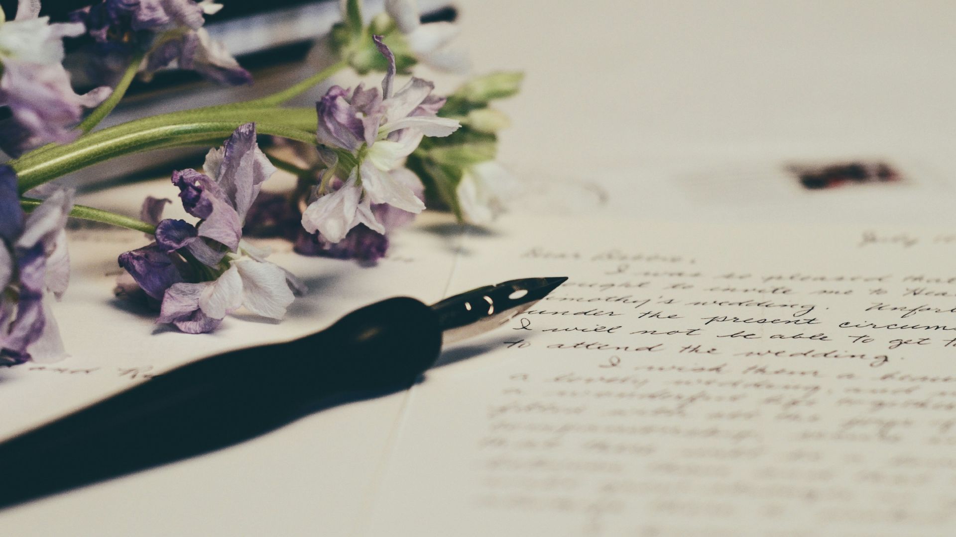 purple flowers on paper