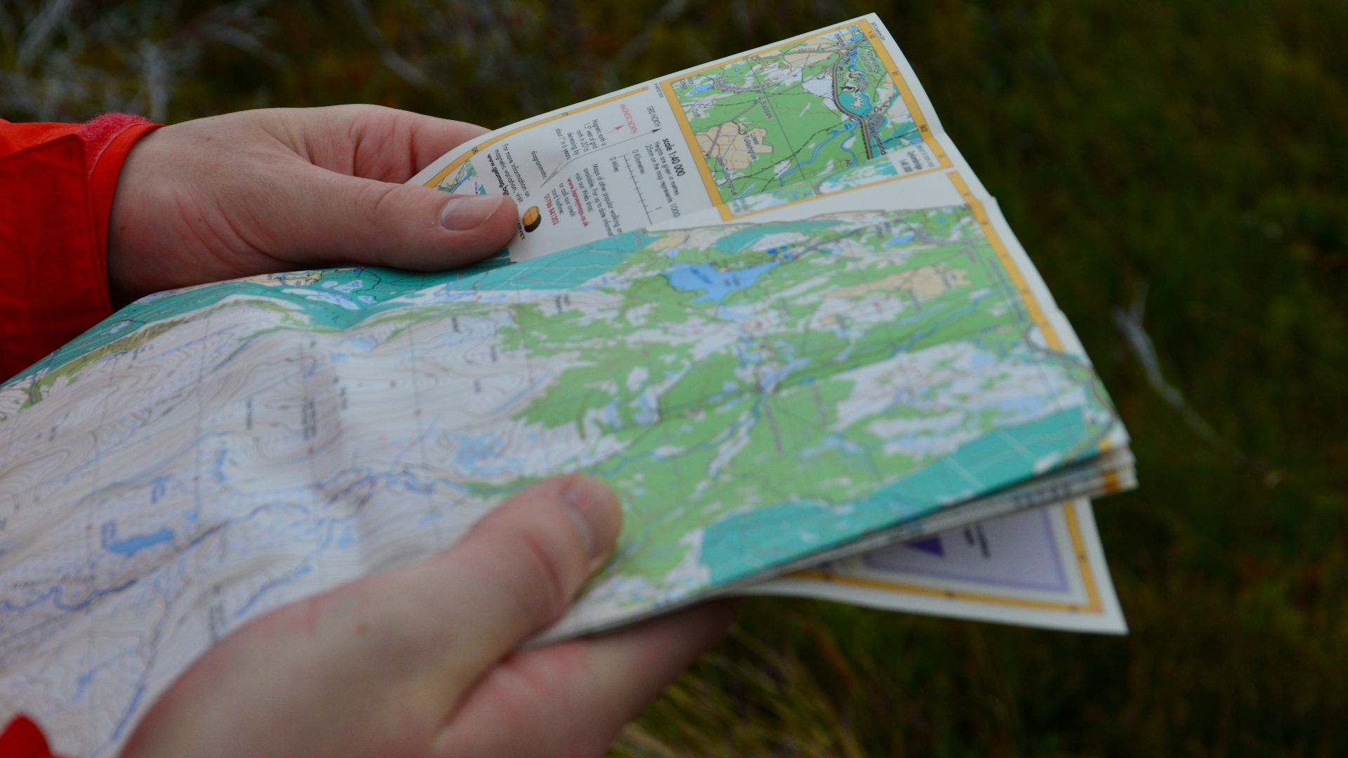 person holding white and blue book