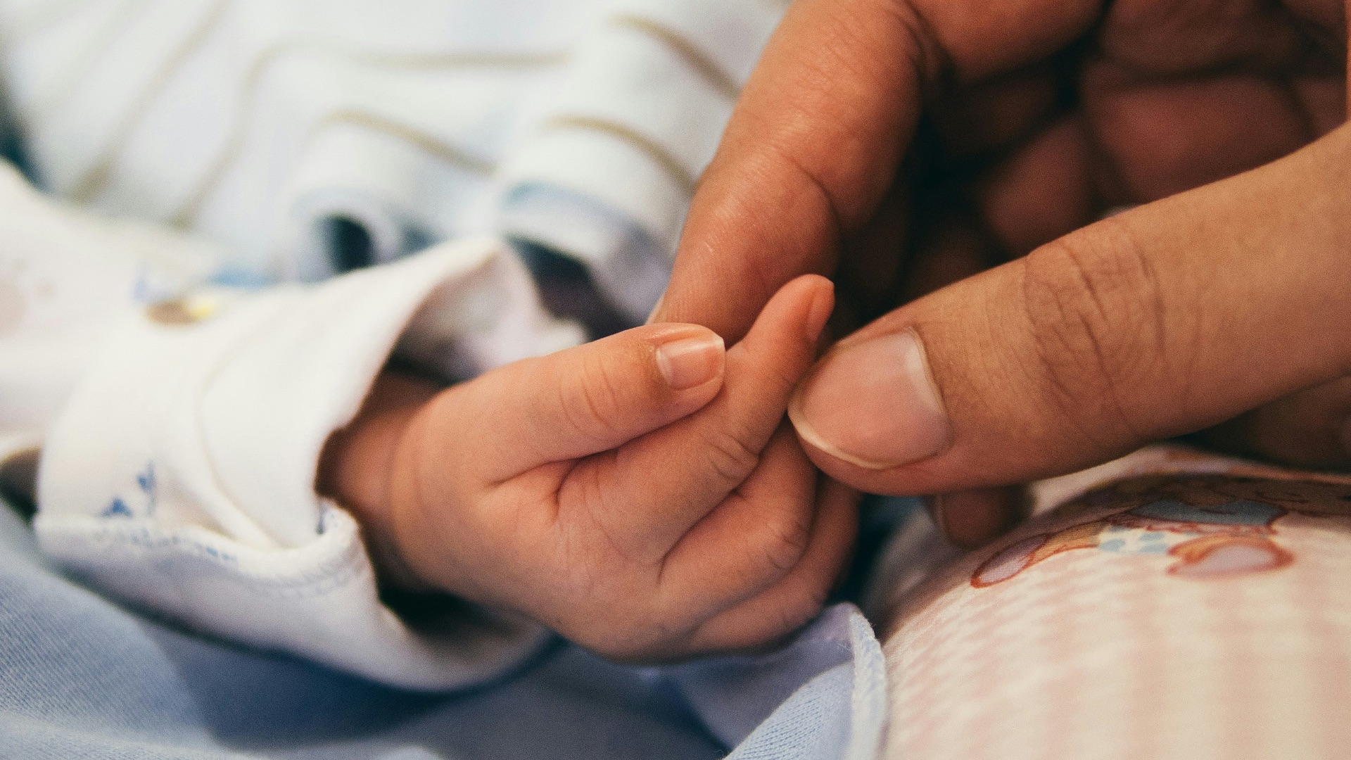 person holding baby's index finger