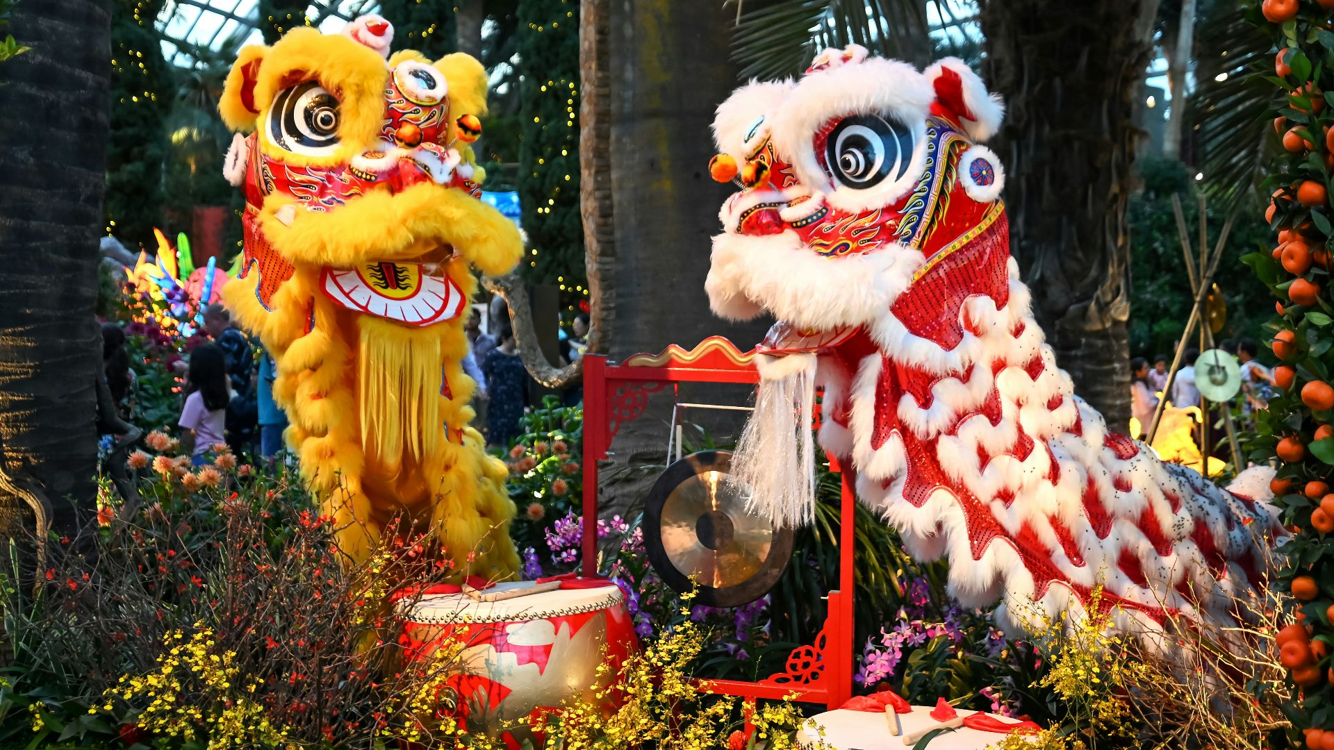 a couple of lions standing next to each other