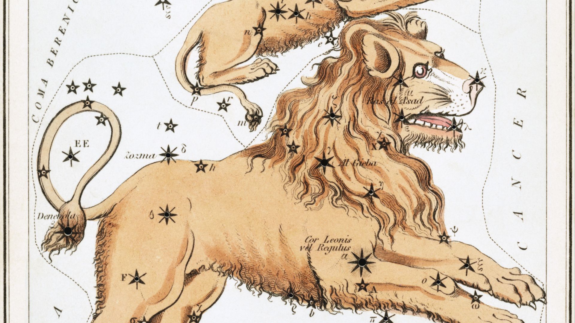 File:Sidney Hall - Urania's Mirror - Leo Major and Leo Minor.jpg