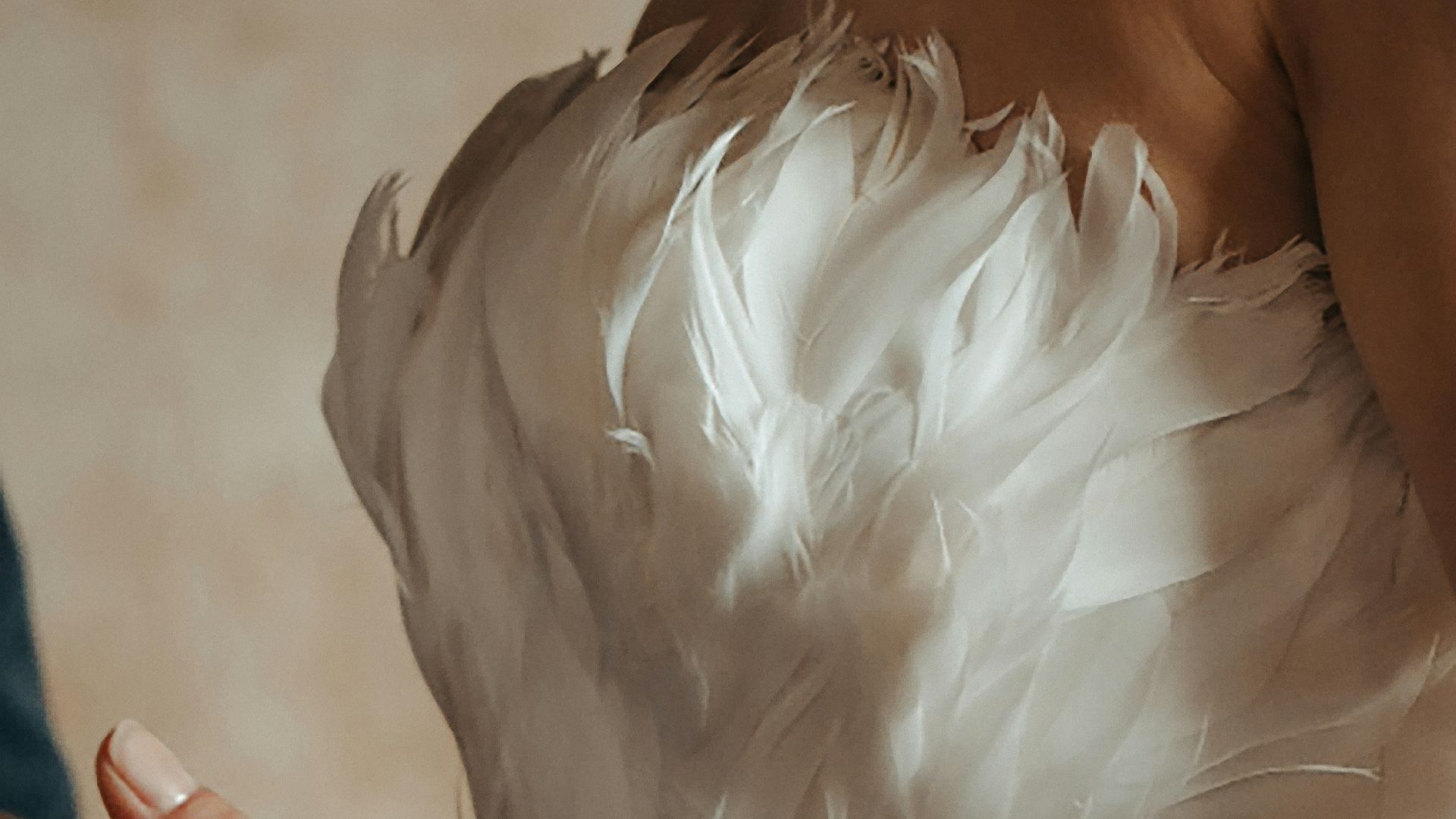 person holding white feather during daytime