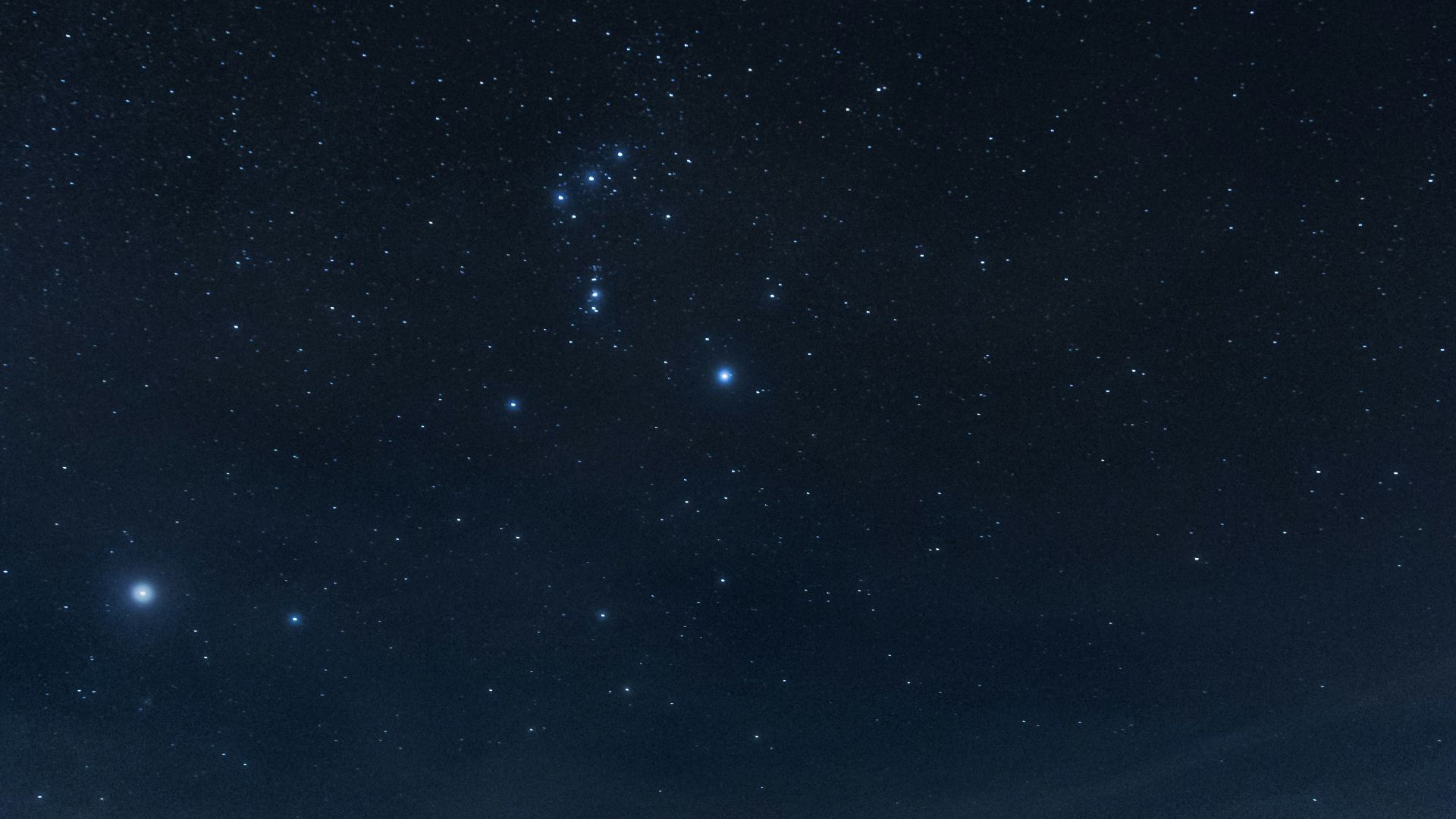a field with trees and stars in the sky