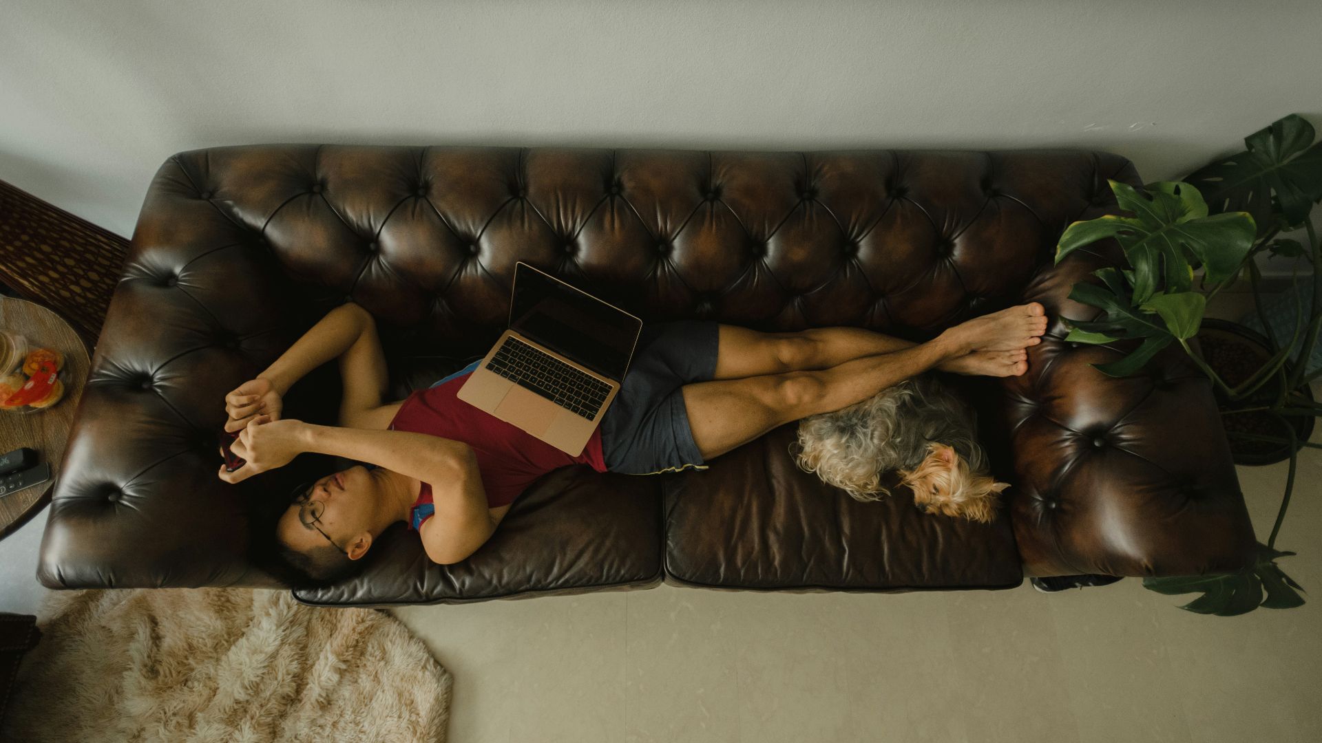 woman lying on brown couch