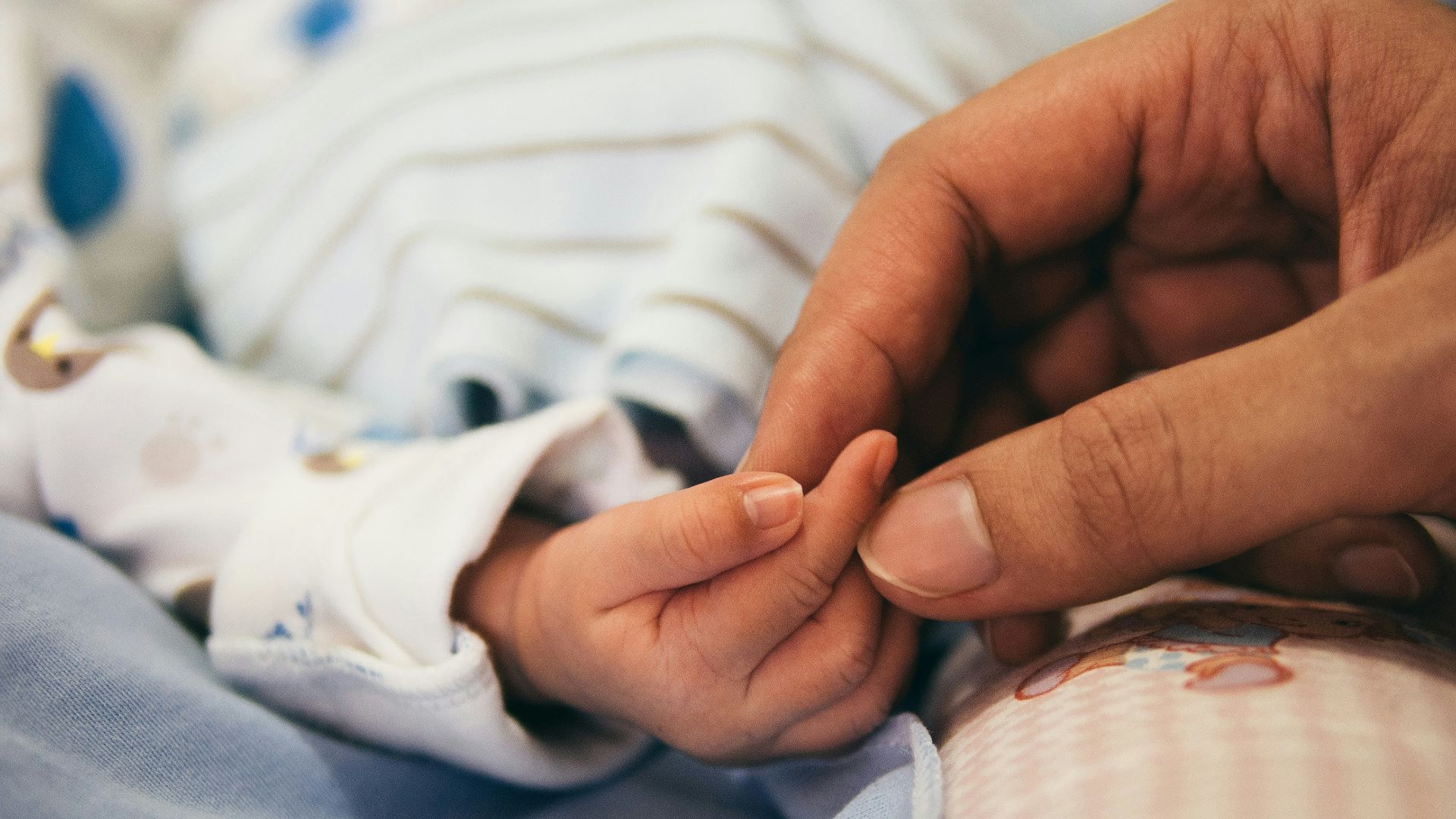 person holding baby's index finger