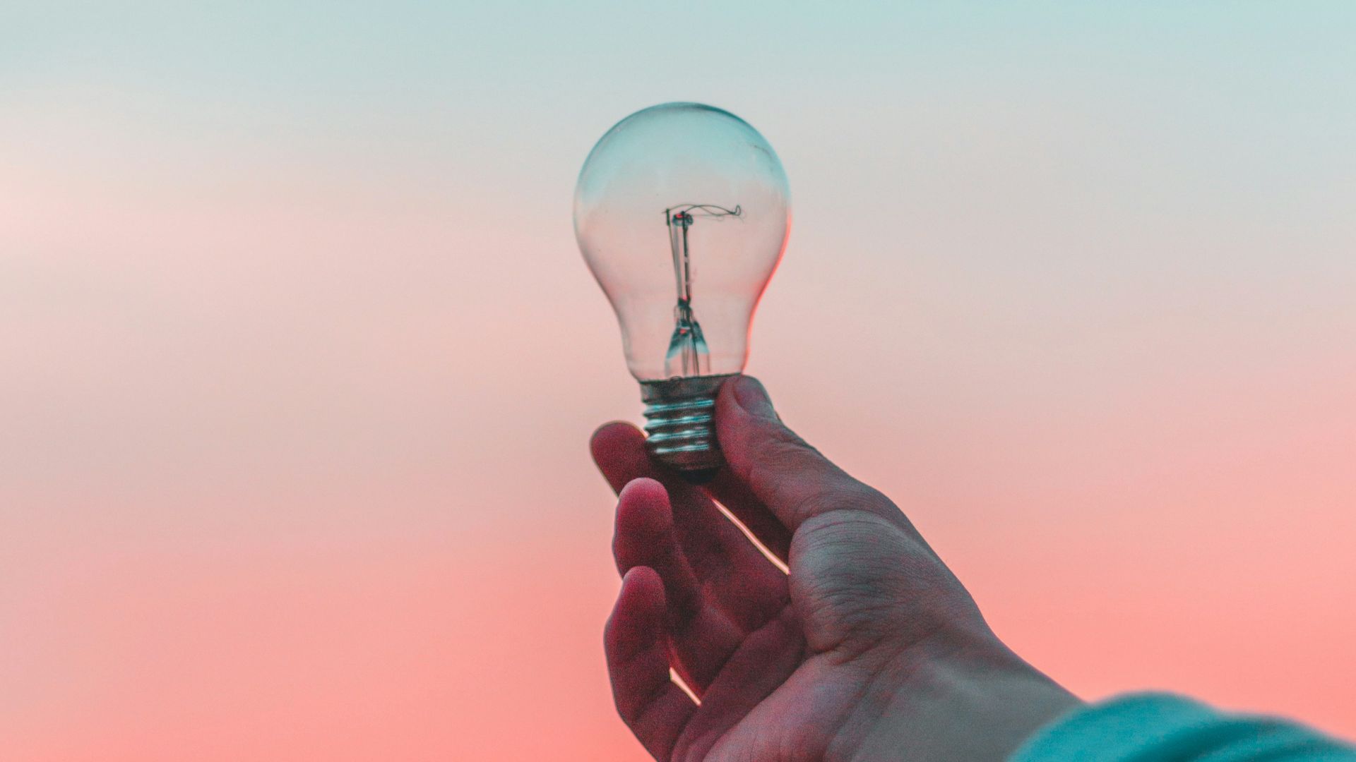 person holding light bulb