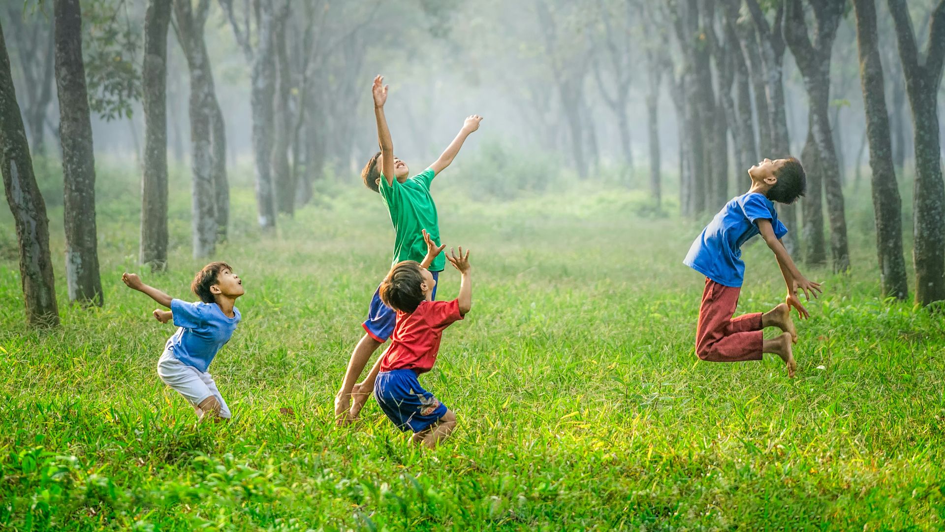four boy playing ball on green grass