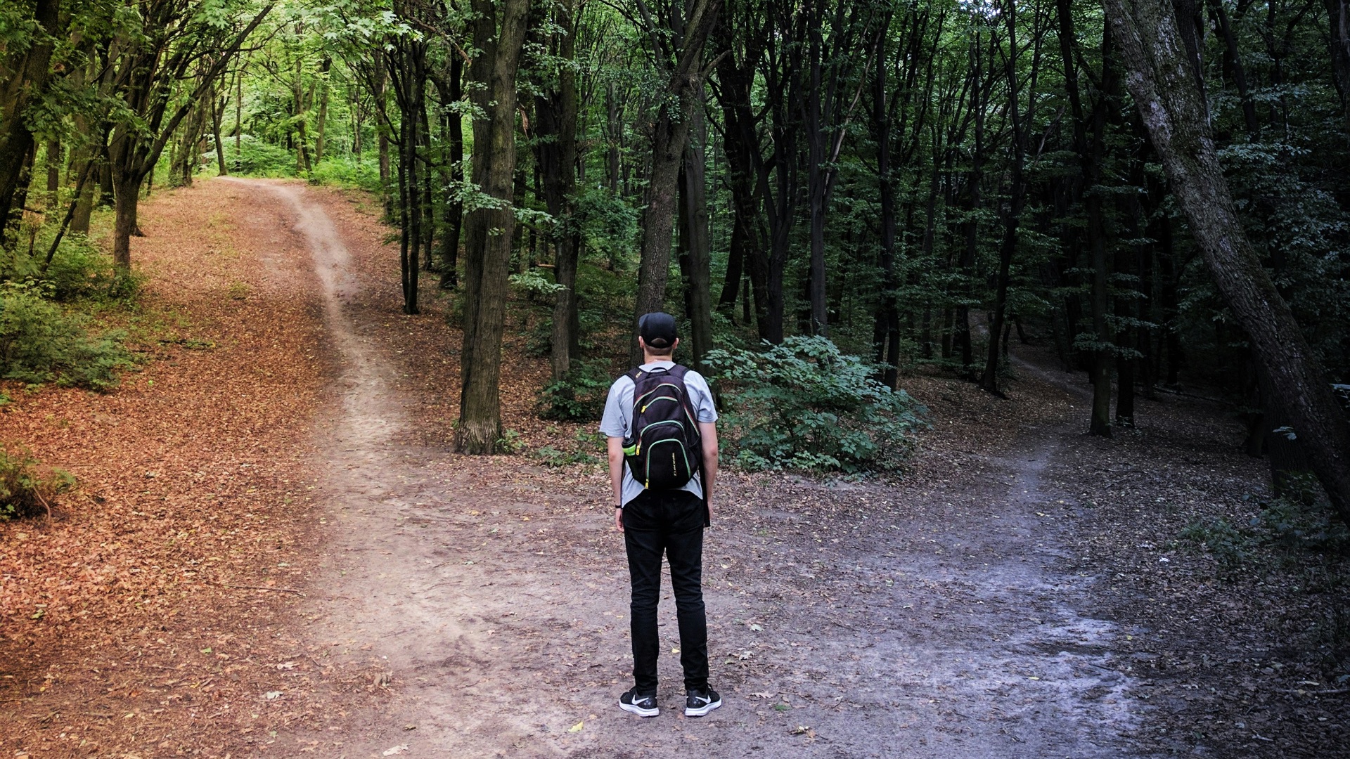 man standing in the middle of woods