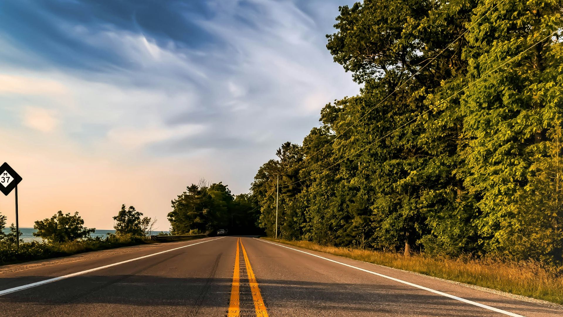 green trees under blue sky during daytime