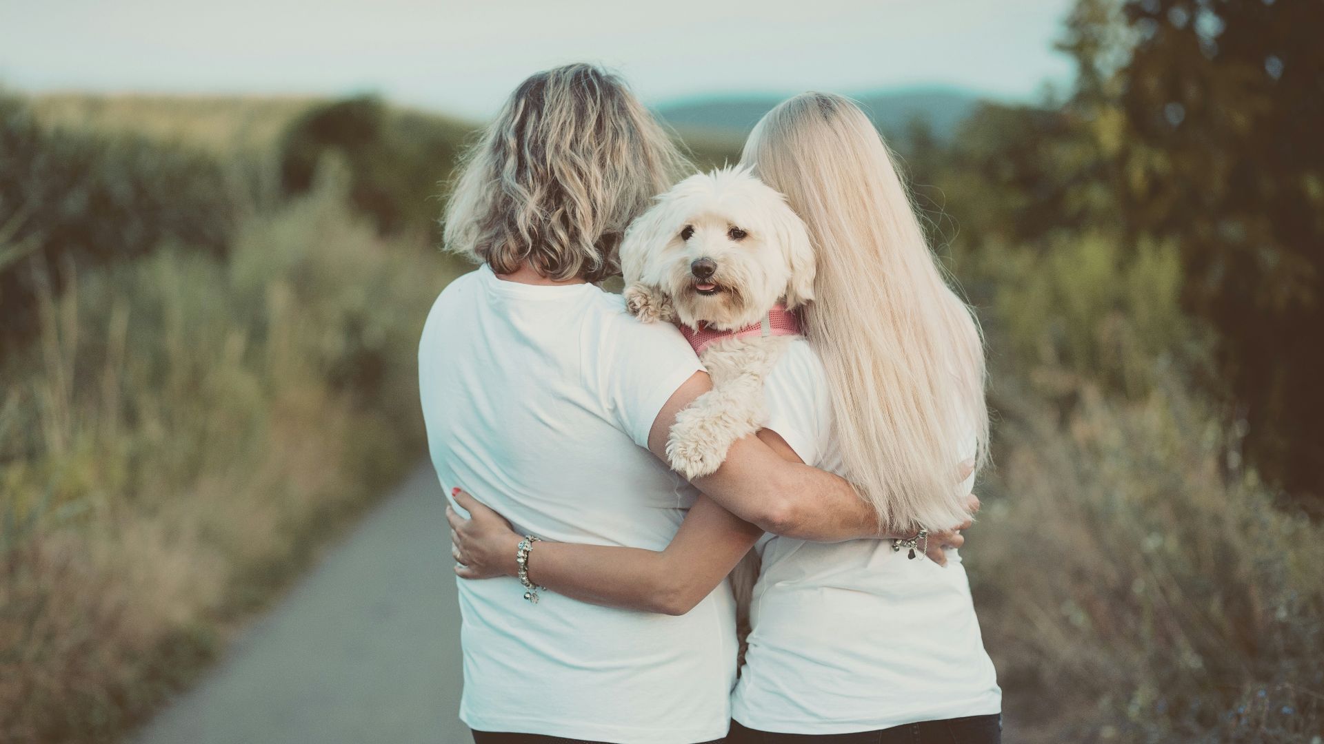 woman in blue t-shirt hugging white dog