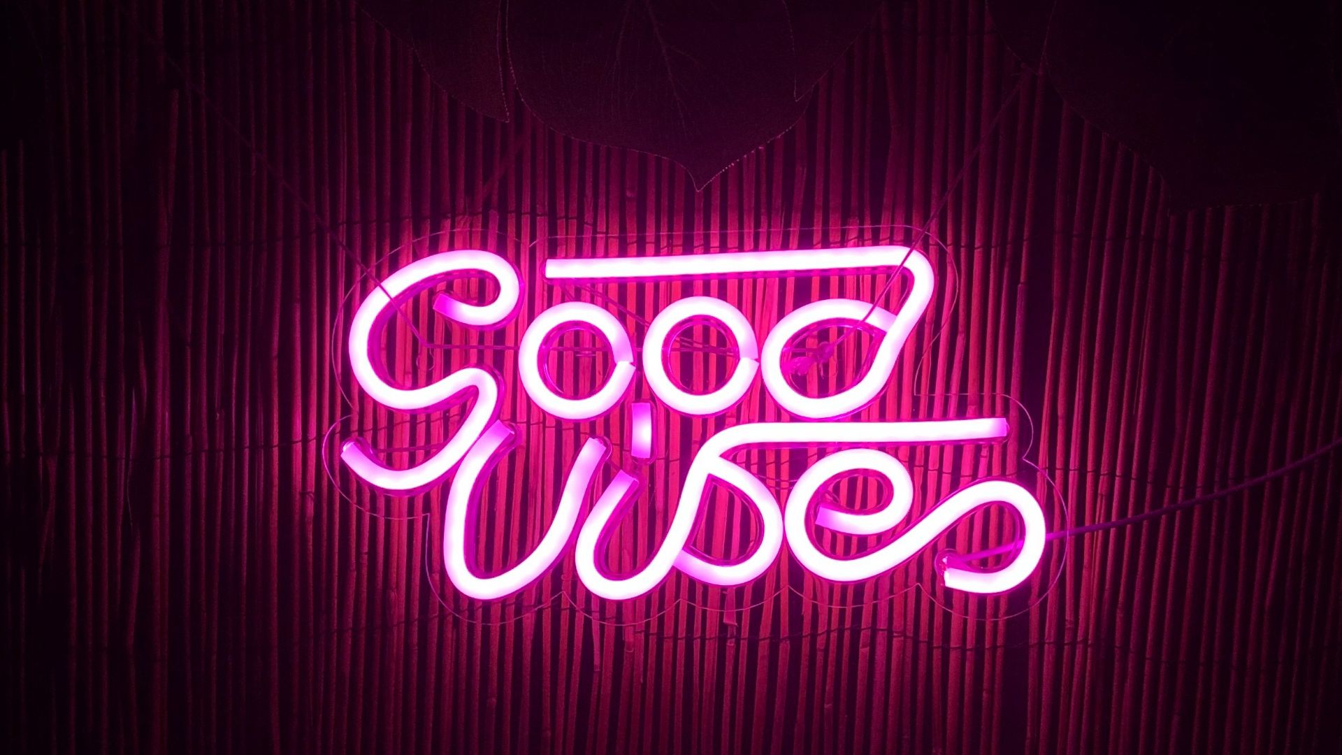 red and white love neon light signage