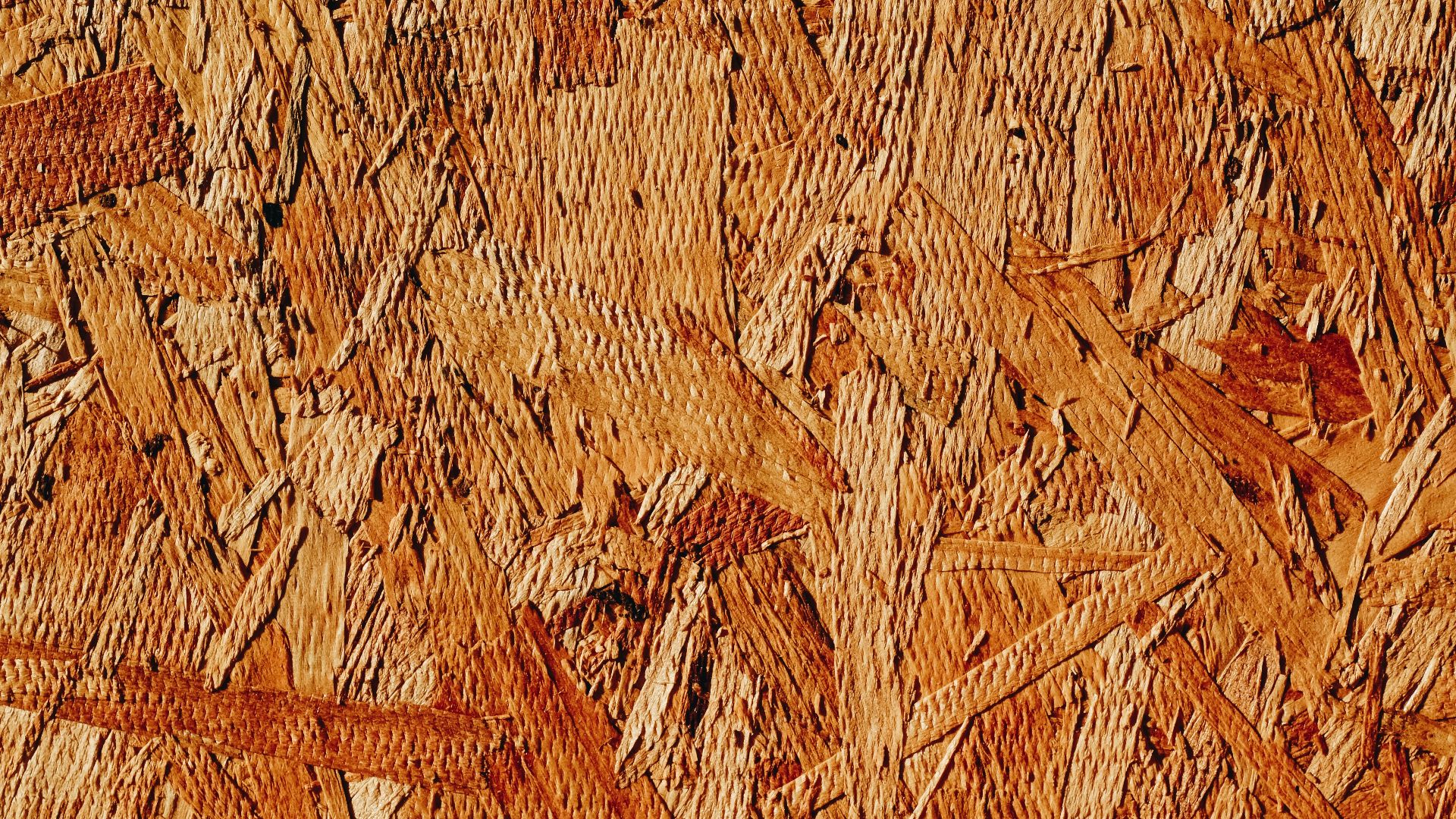 1777395648a98bb9de4552d15128c1477f36bac14d18b8a9c9.jpg