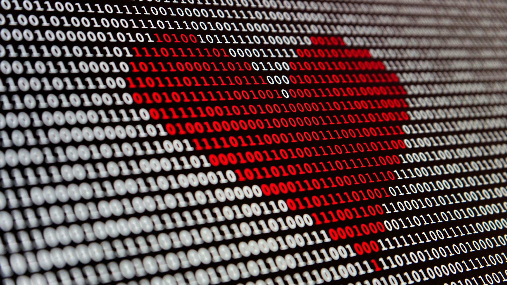 17786753968aa3f79614a68444471bebfe8147ca81894b589f.jpg