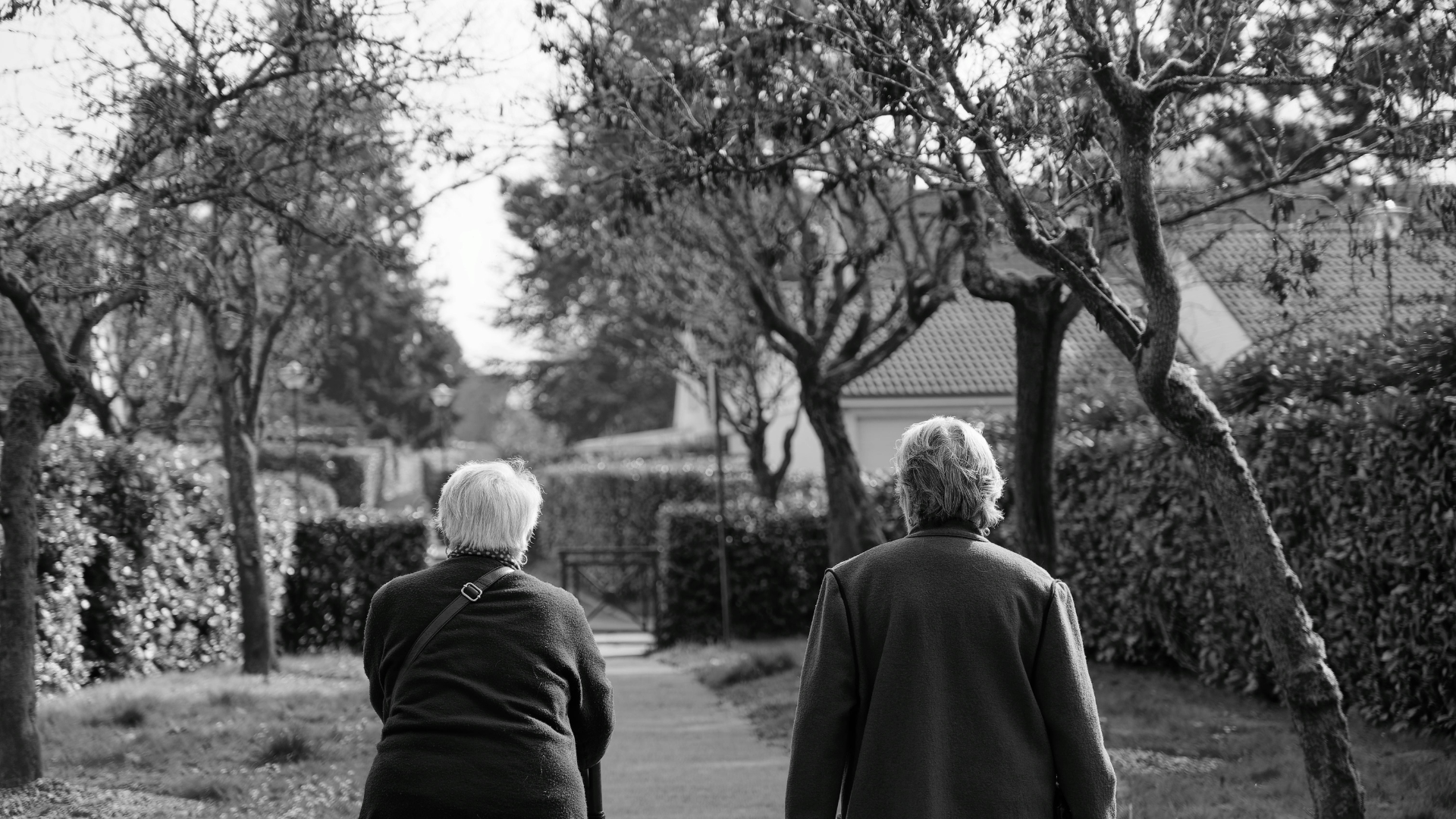 old-couple-walk-thumb-rss.png