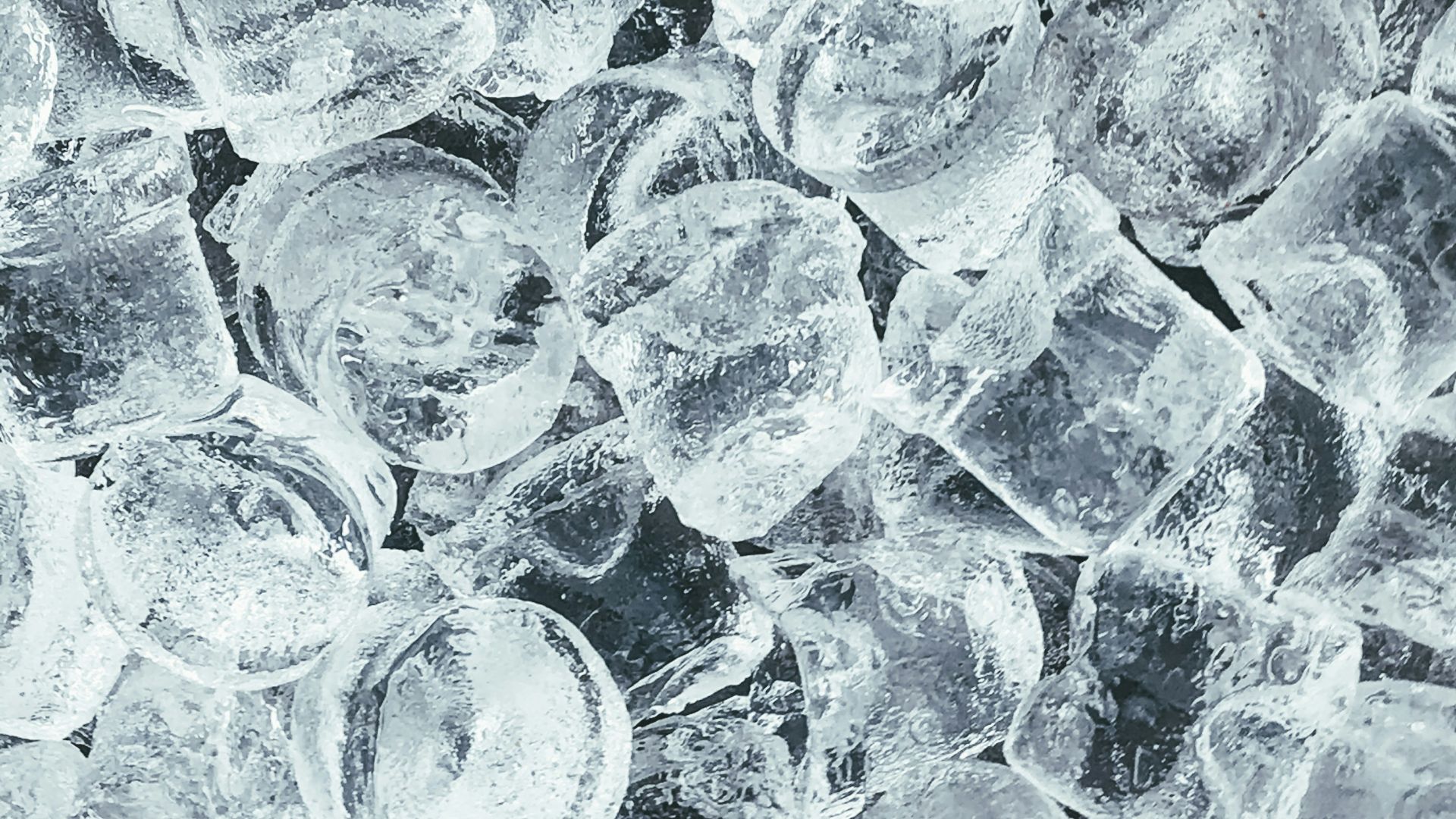 1779904835946f5e2c1fc3716bdf4d9465c2460154c47f3f84.jpg