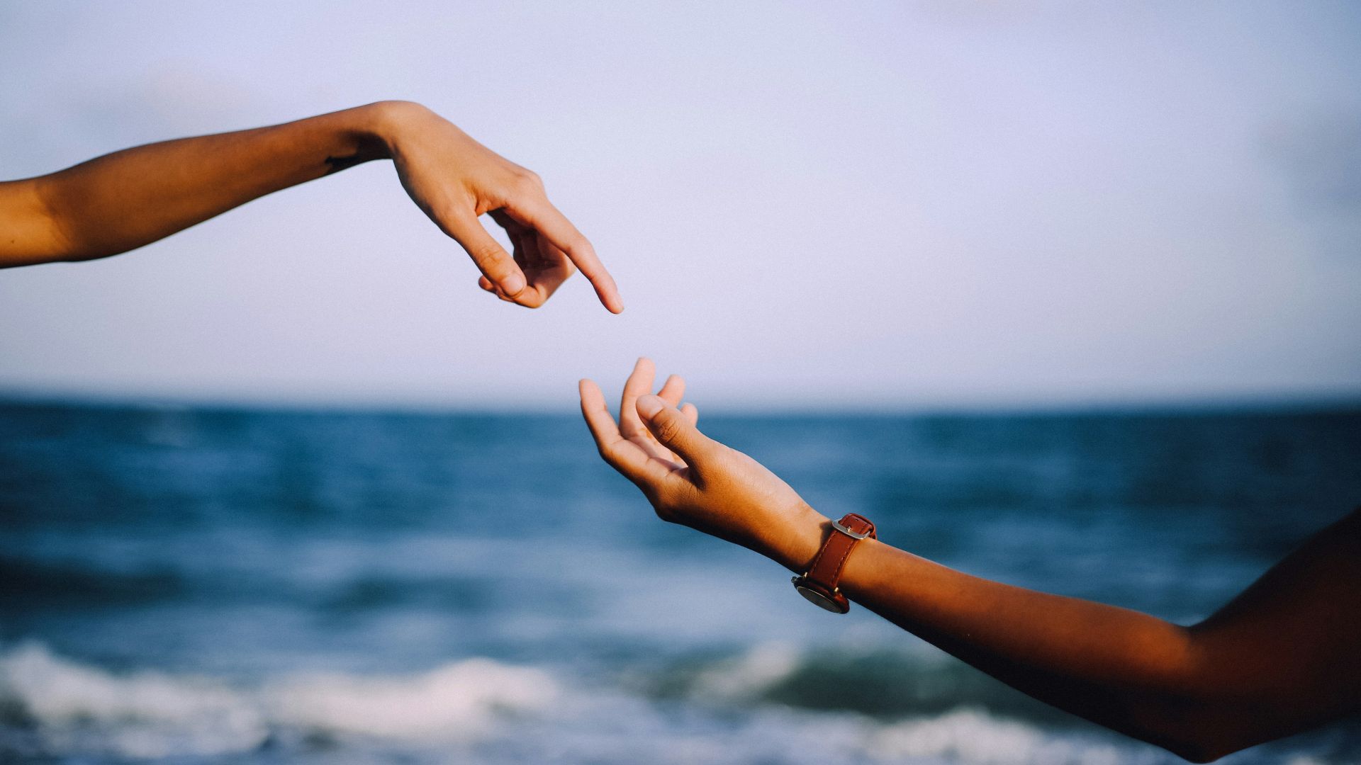 1780068151b350ab1581032e8a560e7b254f02a53f6e288967.jpg