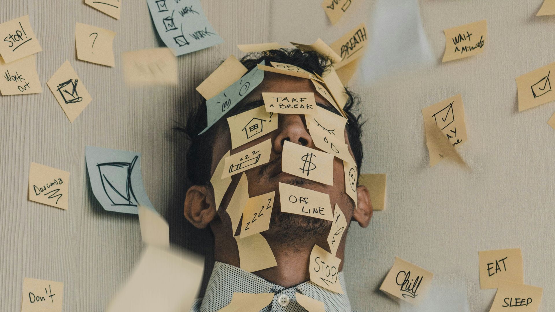 17806468379a432691965cca1f5f036e6964216743f31c4a85.jpg