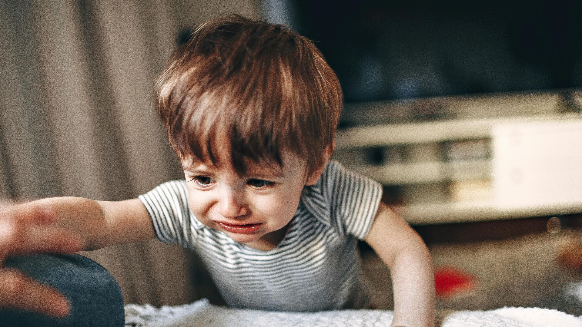 1781008951fb1e0b6e6db91f41e85da8180bb15651f4669868.jpeg