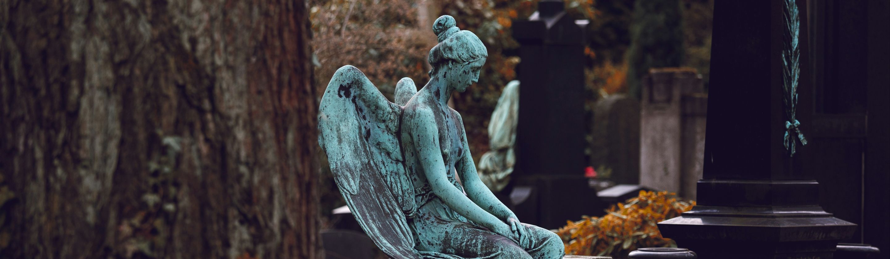 17840435153df3eccc094f58d9f8c13e0eb07f998a7c42a6f3.jpg