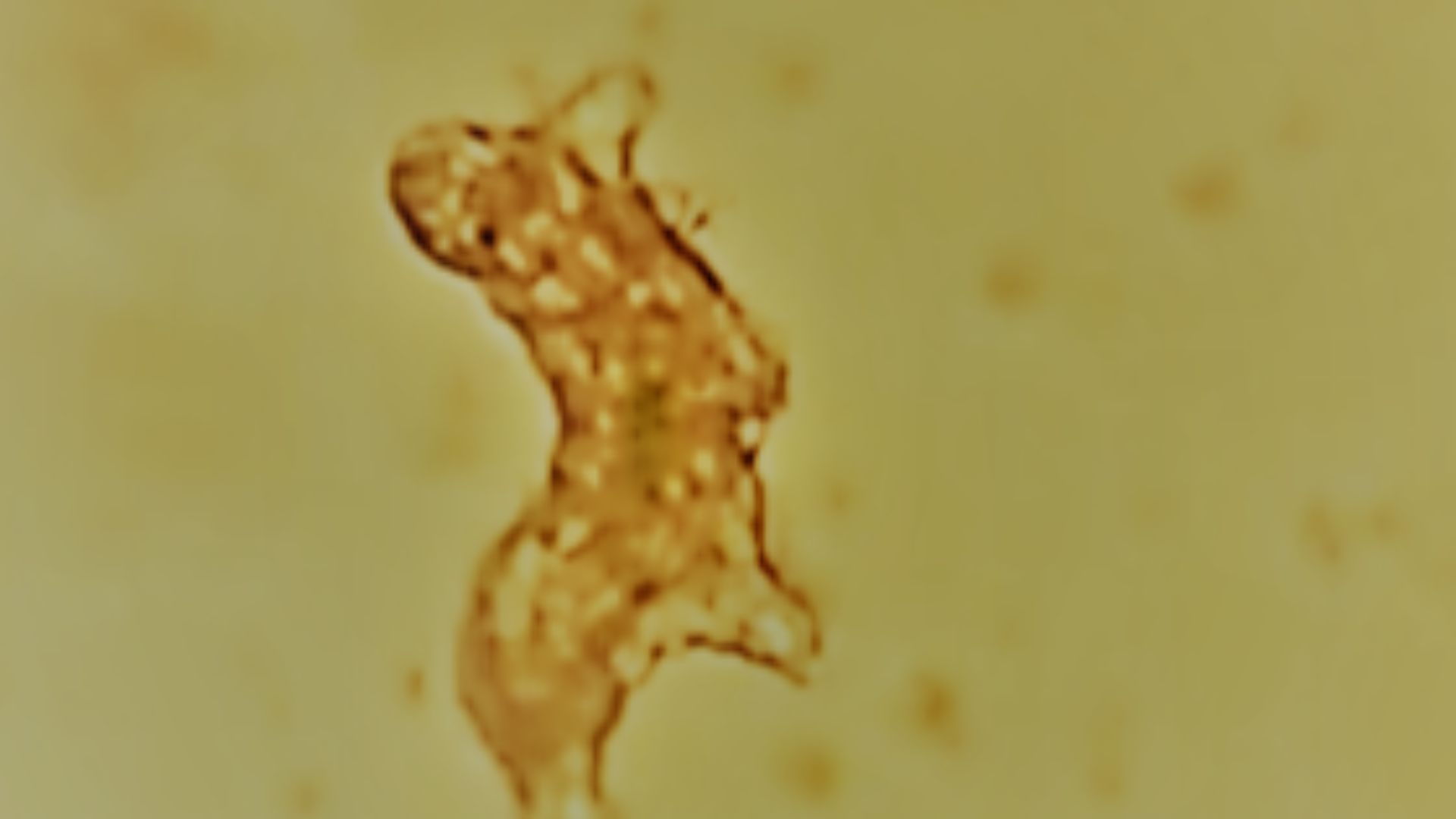 1783108146a855198cc1570f8b5a4d9d00955d04d2bad49254.png