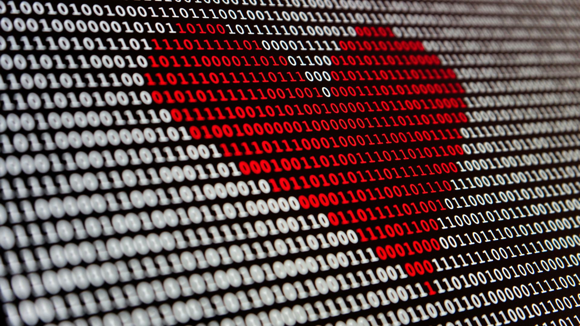 17869934428aa3f79614a68444471bebfe8147ca81894b589f.jpg