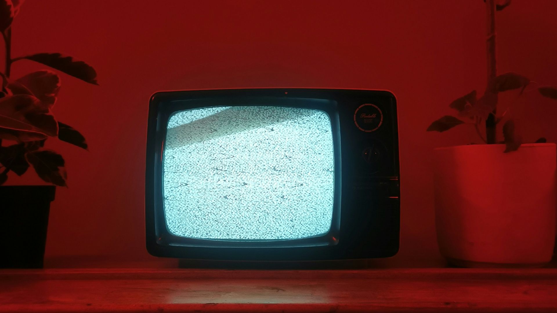 1789756699fec3bb1693bdf42b2e5ddd3566248d9885f1283f.jpg