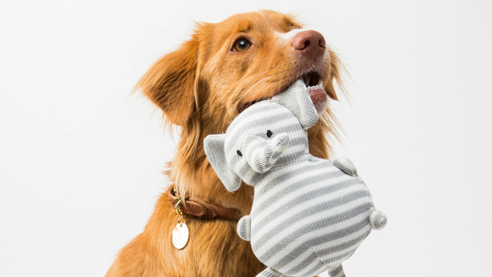 1790092485d340166e504e7c993861a9cd7c43512b5d629206.jpg