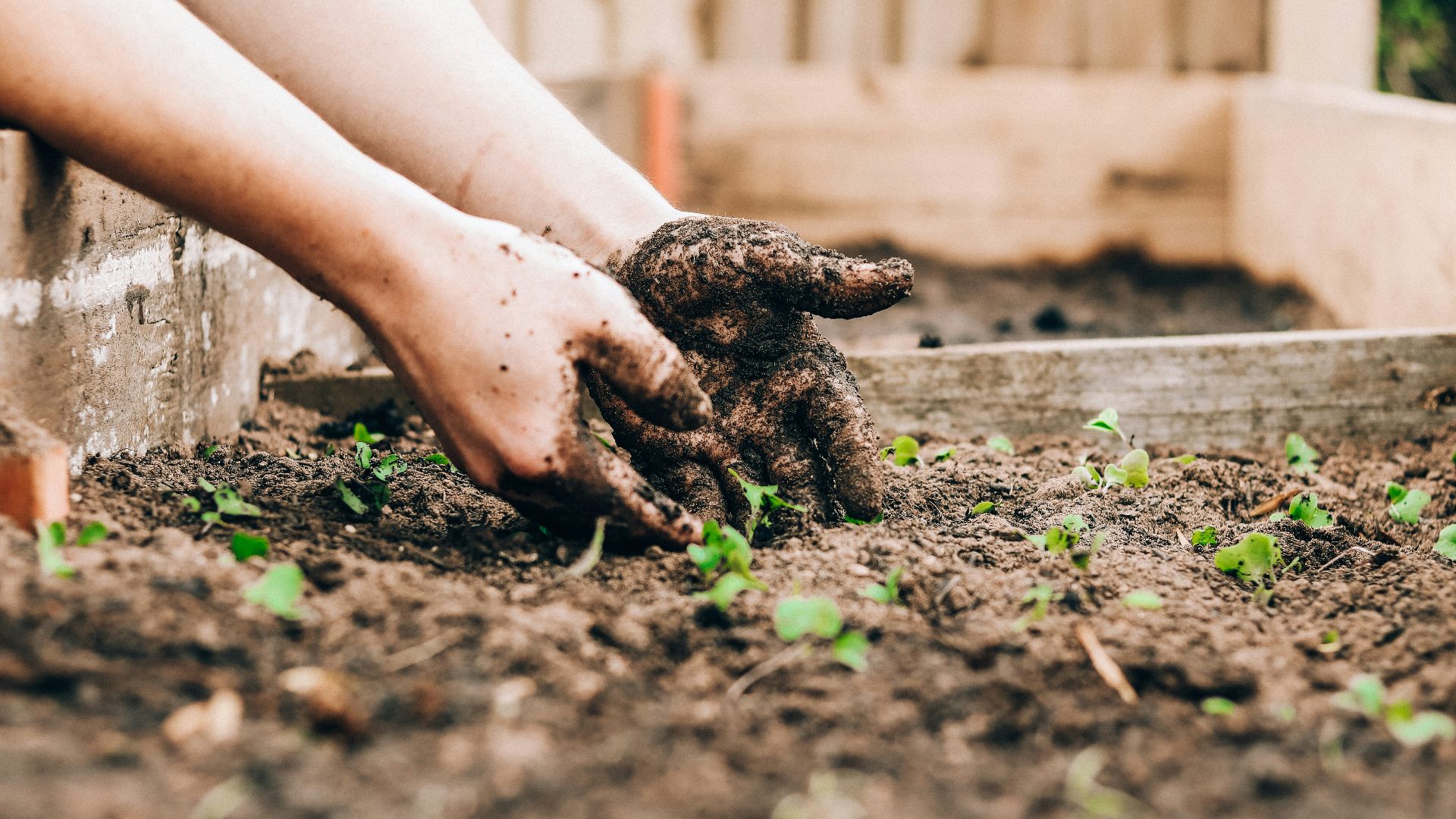 1788835987f8b19217d7f5f750968fa77eb0f05fb59d469f70.jpg