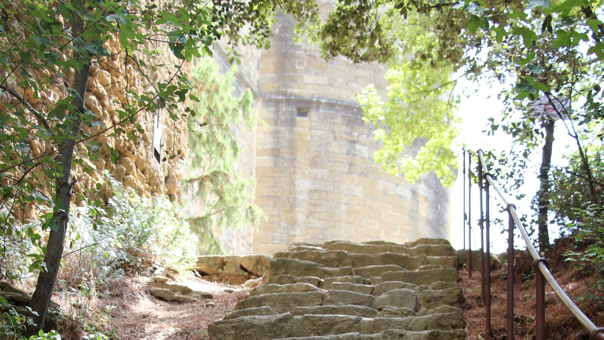 a stone staircase with trees on the side