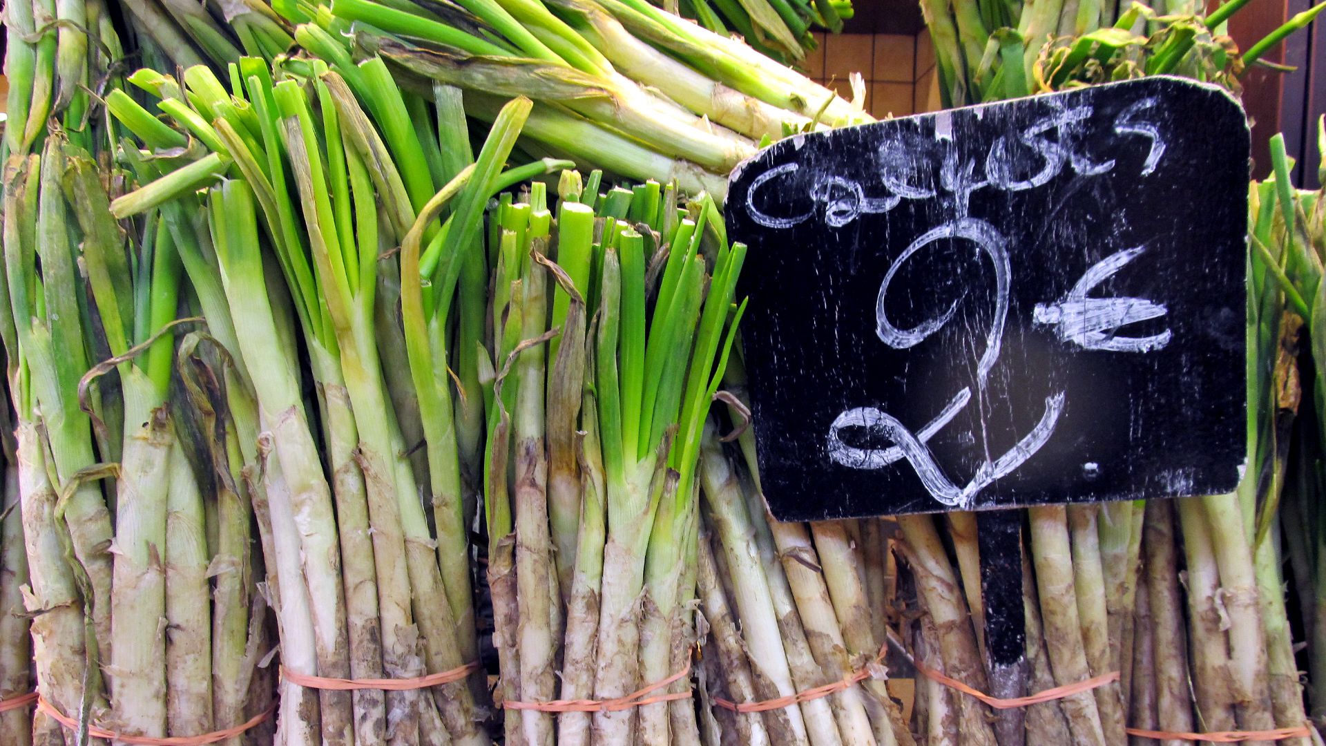 File:Calçot.JPG