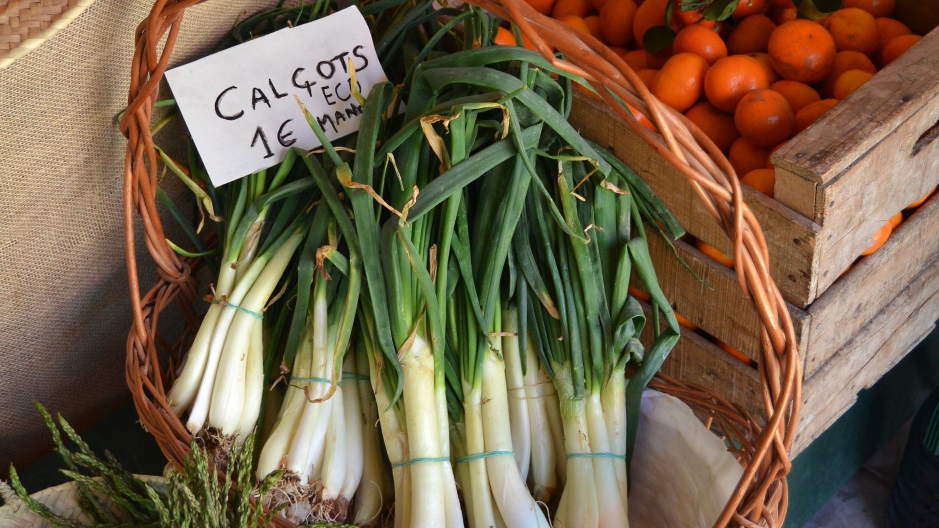Catalonia Culinary Tradition of Calcots - TravelHereNext