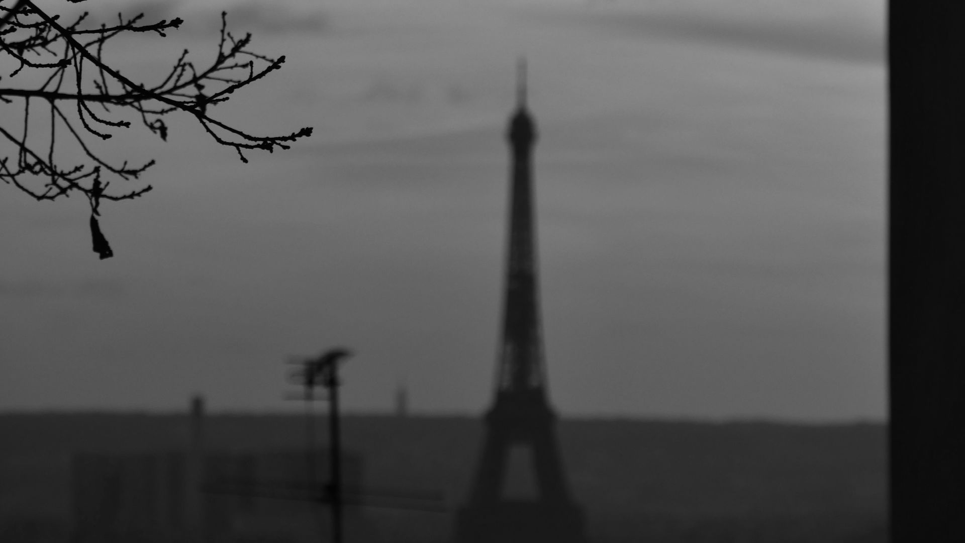 a black and white photo of the eiffel tower