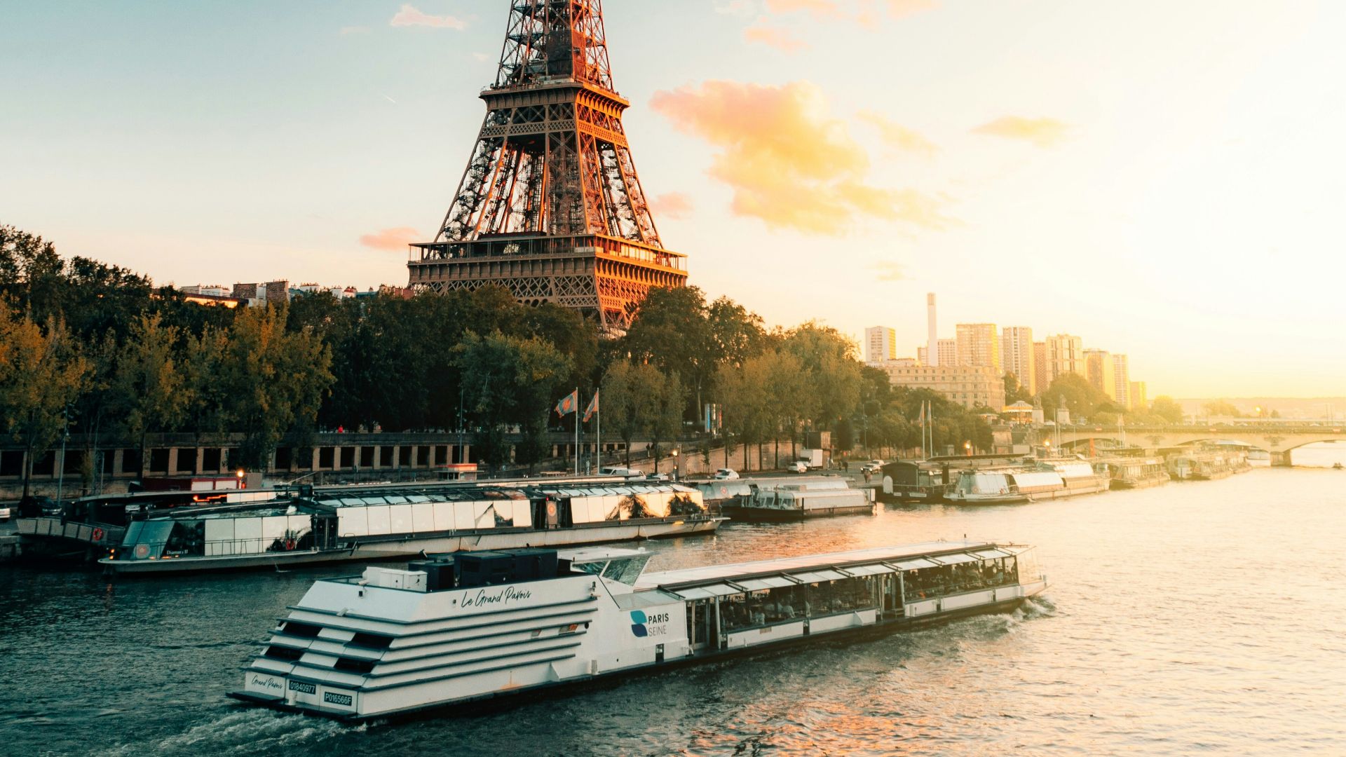 the eiffel tower towering over the city of paris