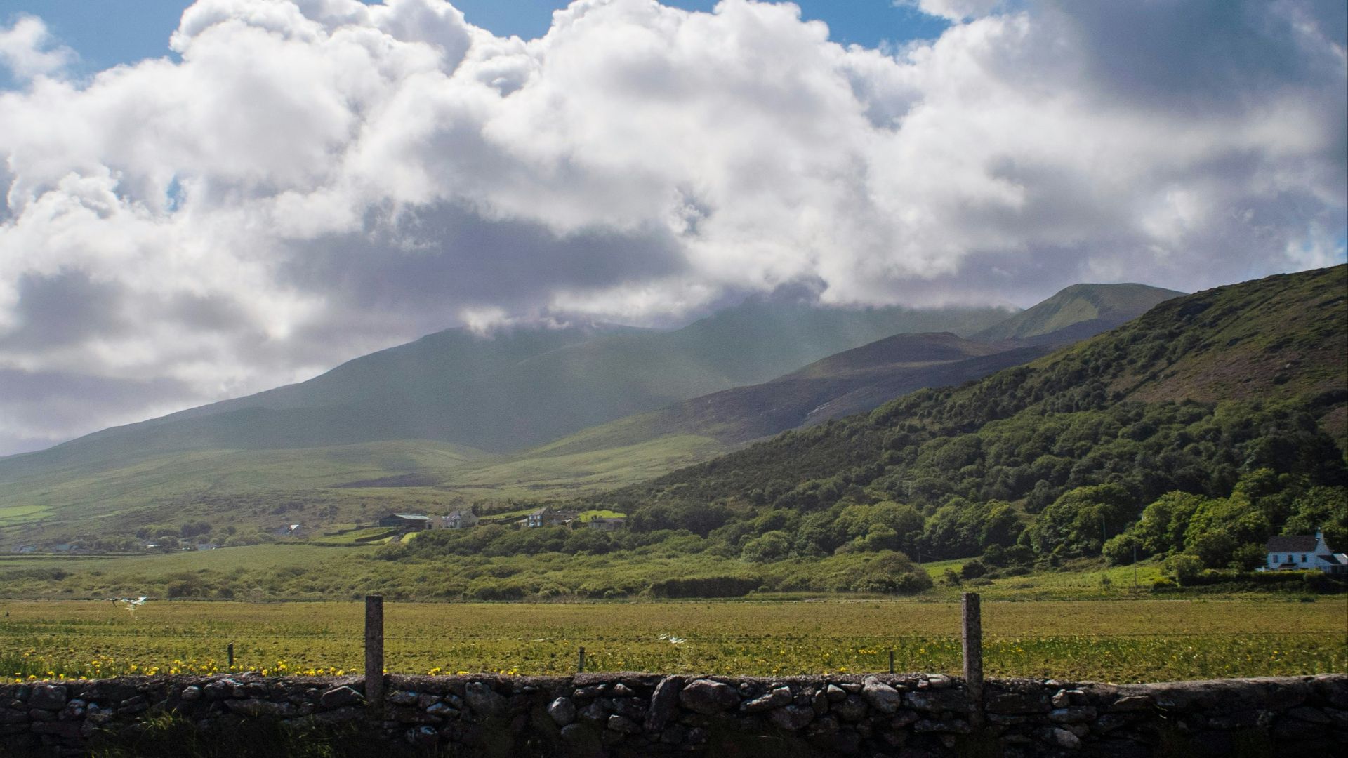 A field with a stone wall and mountains in the background