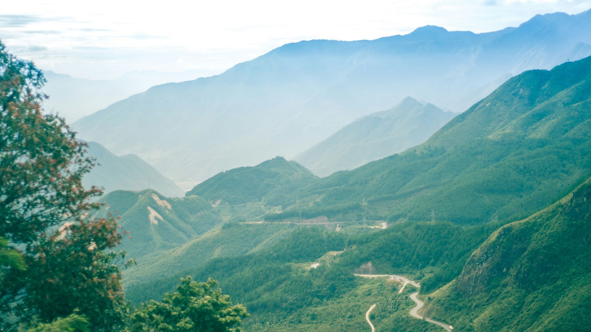 green trees on mountain under white clouds during daytime