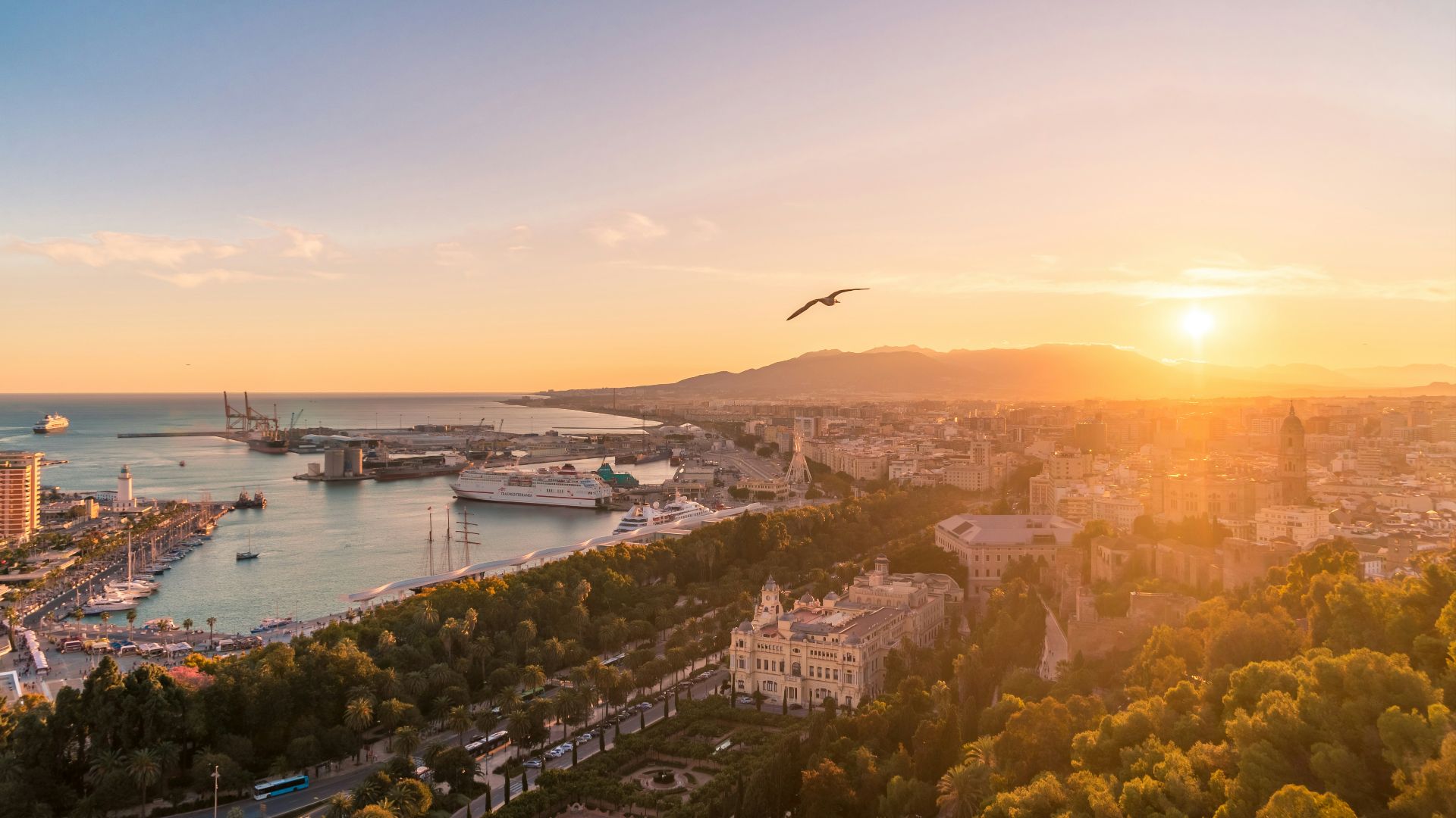 top view photography of city during daytime