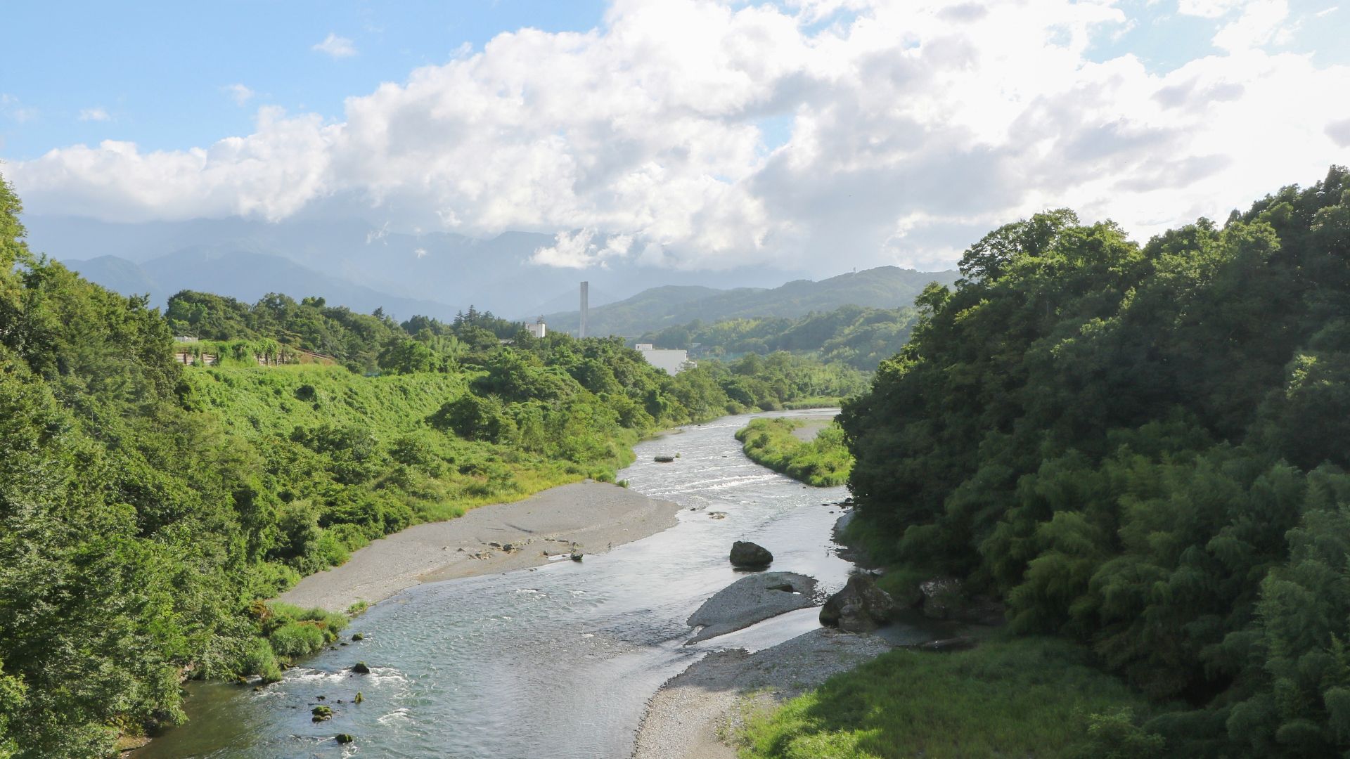 aerial photo of river beside forest