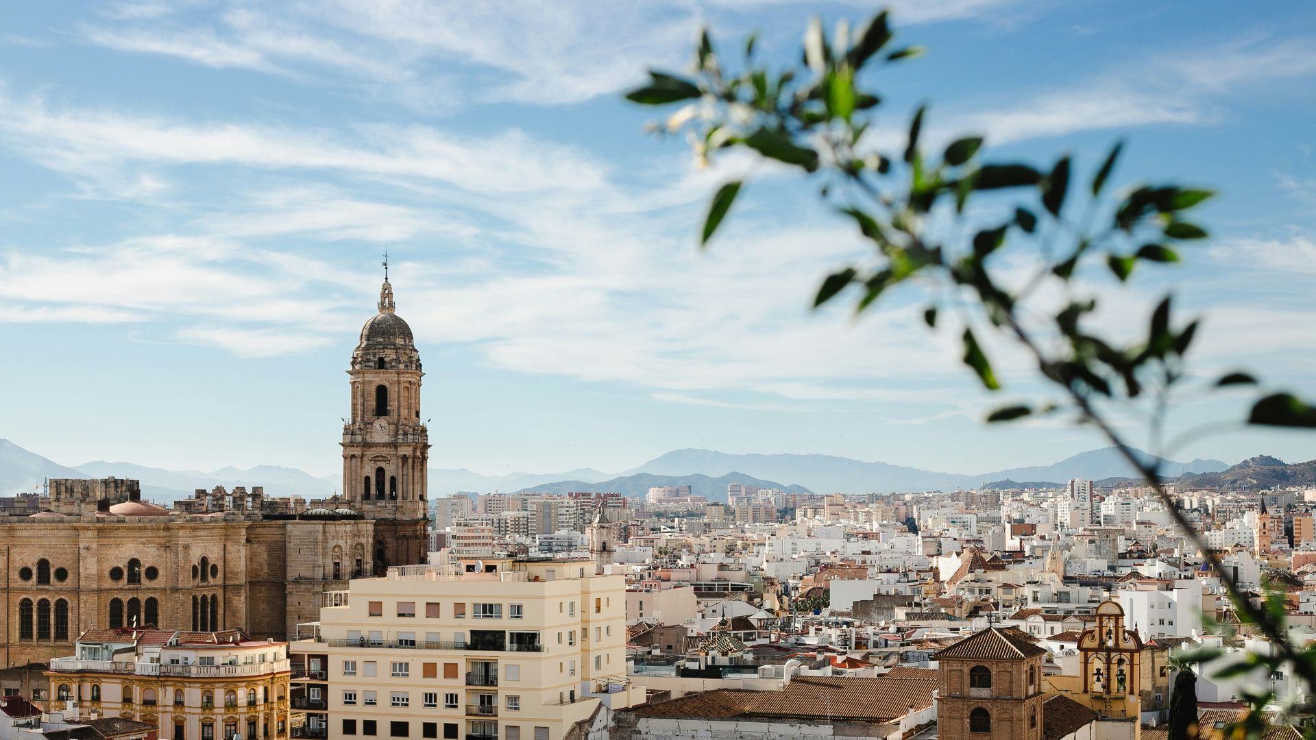 a view of a city with tall buildings and a clock tower