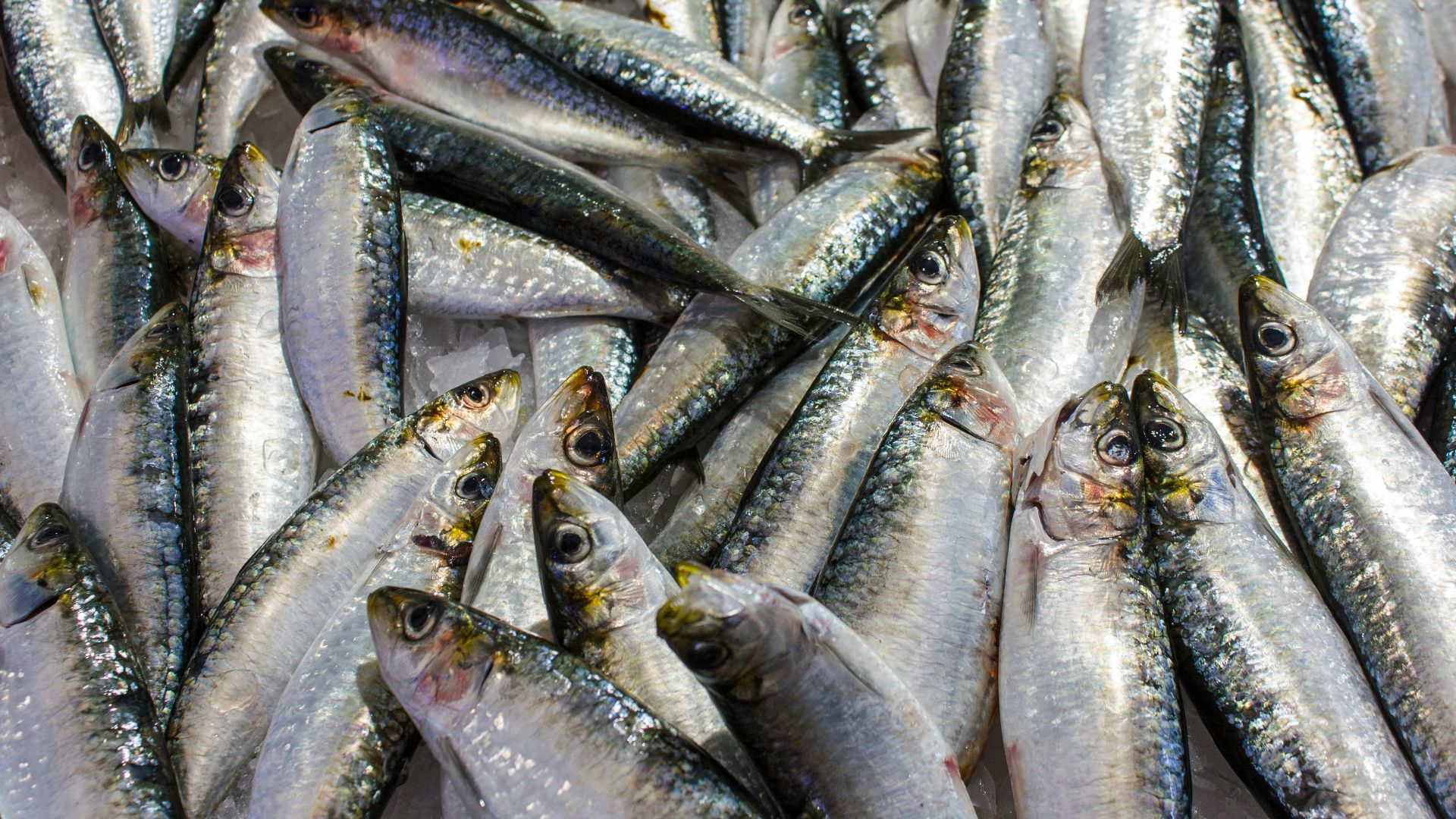 a bunch of fish that are on a table