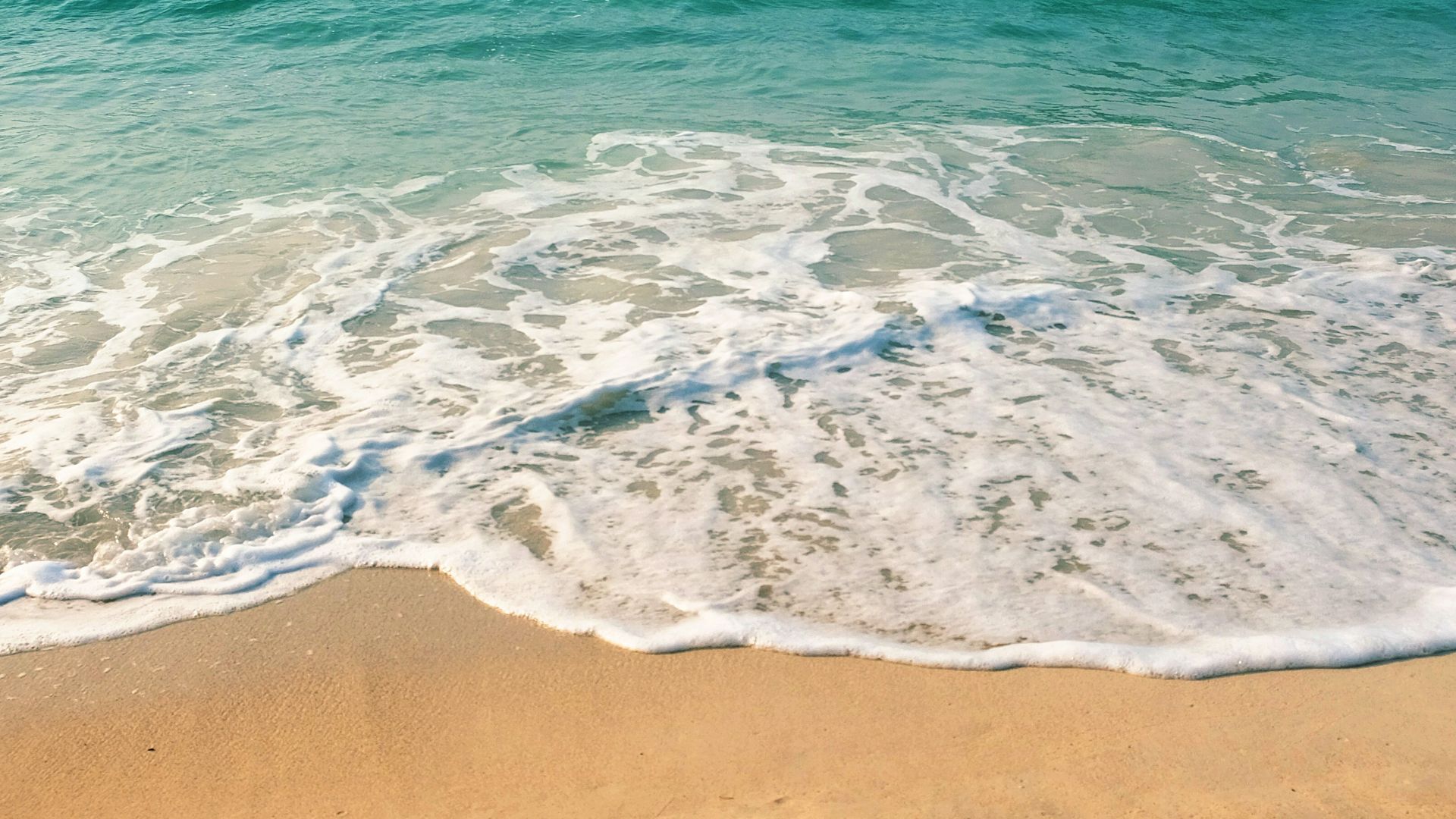 seashore under clear blue sky during daytime