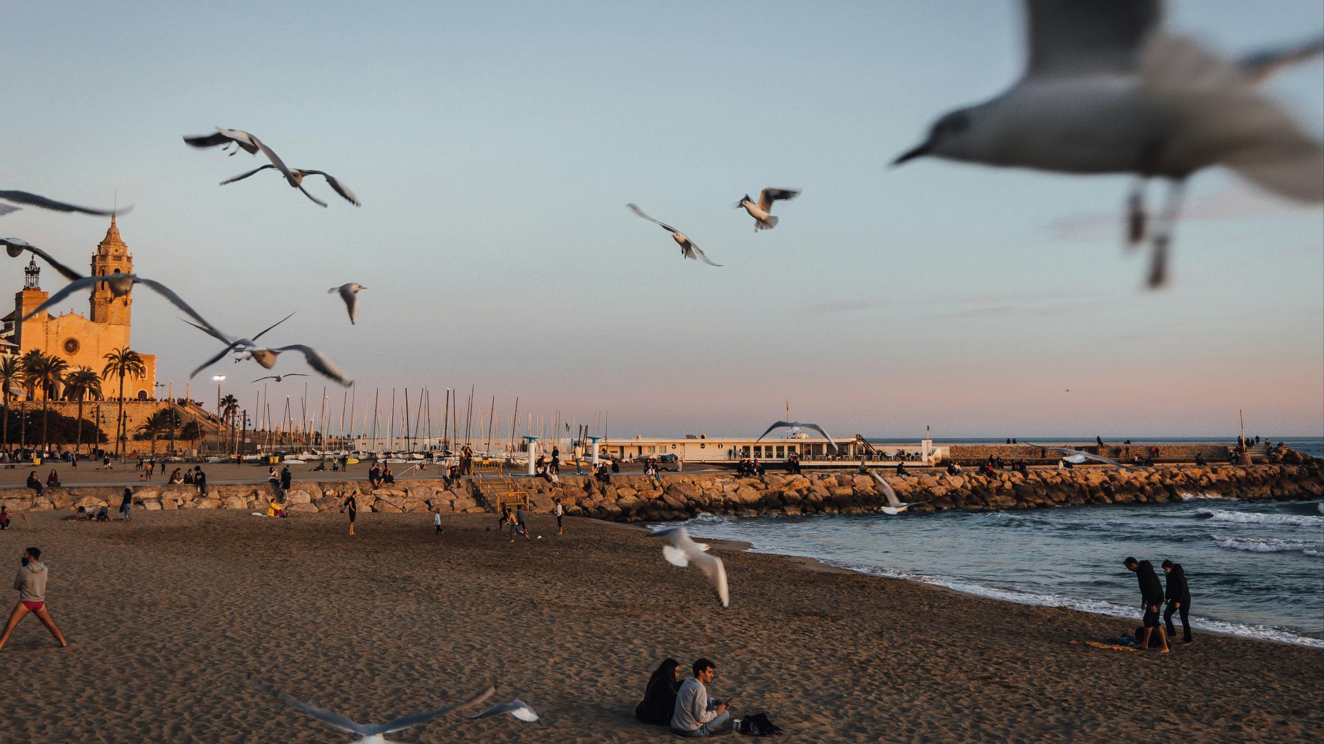 a flock of birds flying over a beach next to the ocean