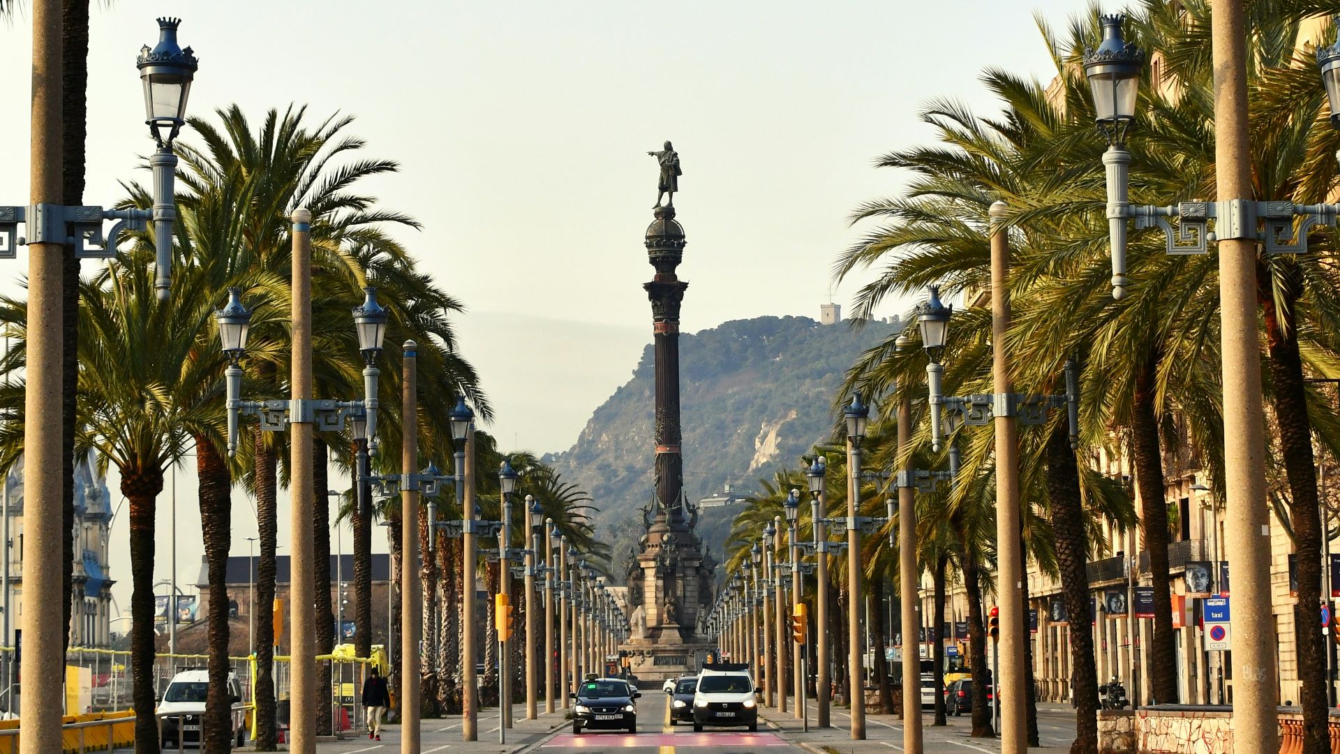 black car on road between palm trees