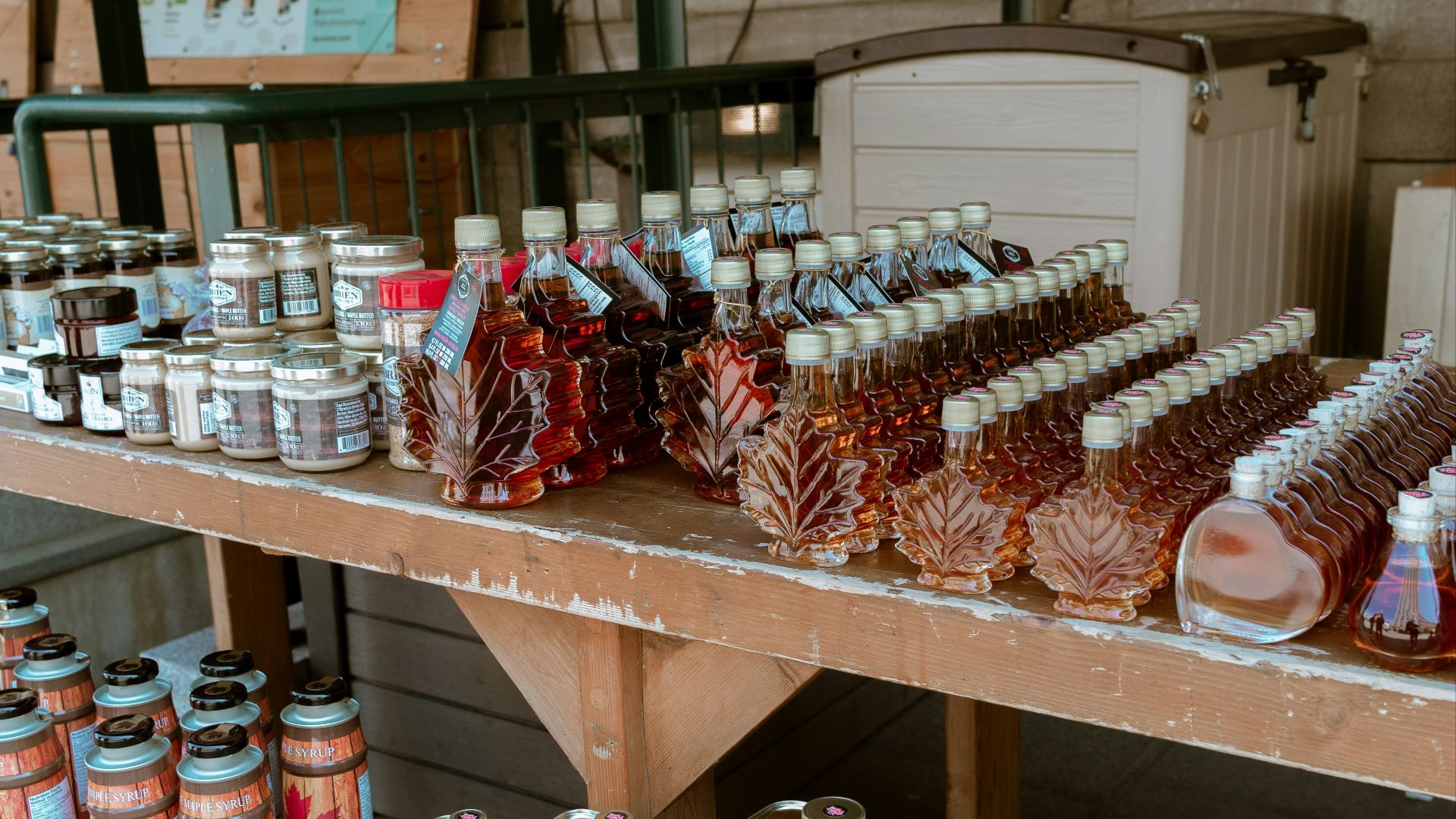 assorted glass bottles