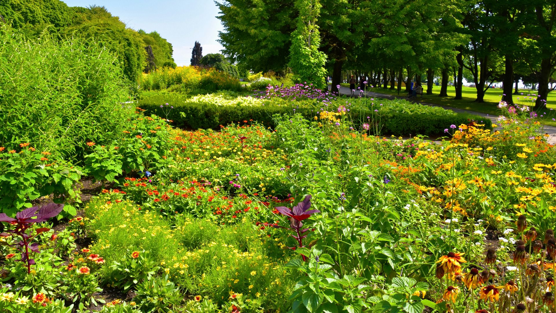 a garden with flowers and trees