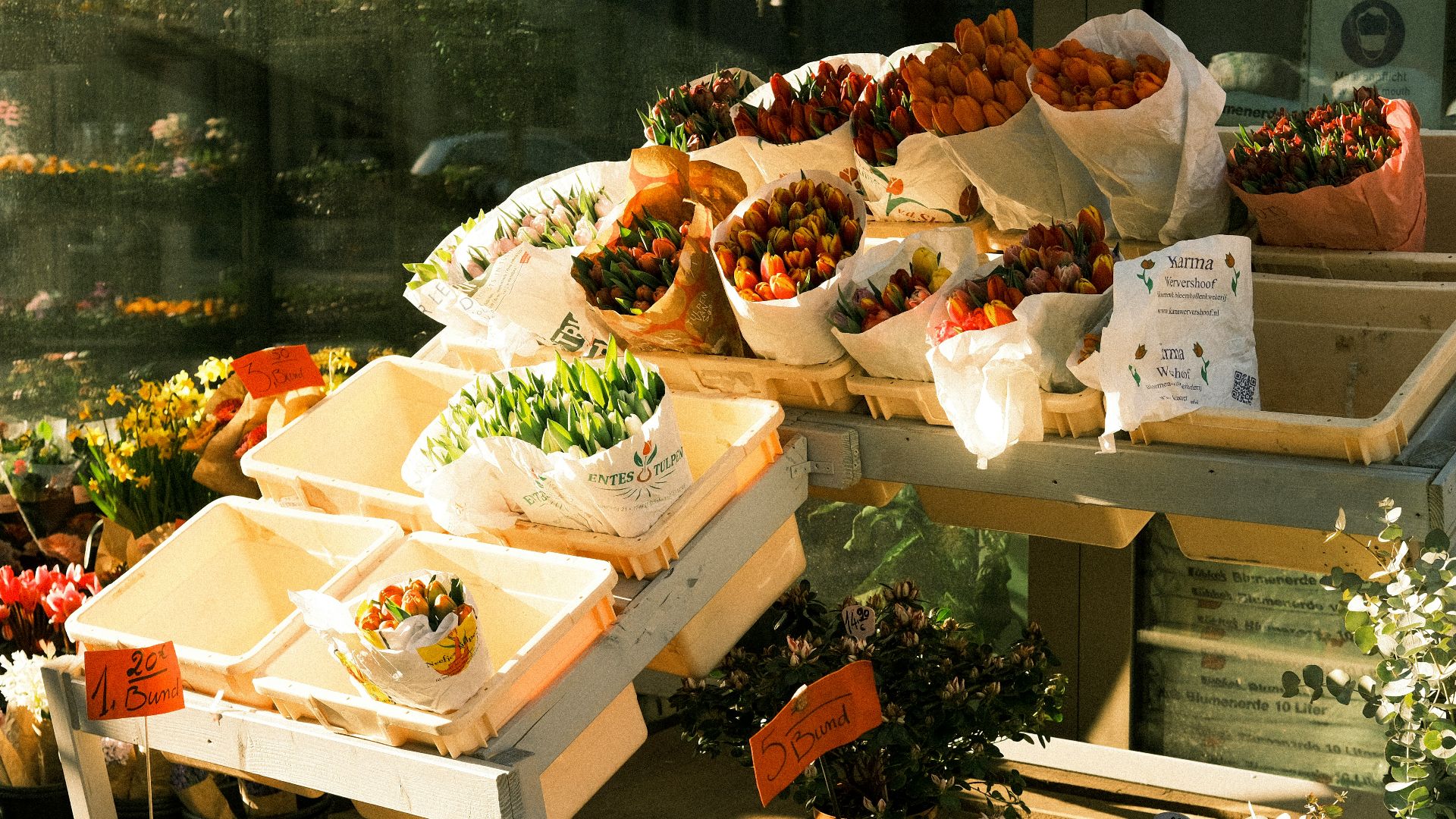 a bunch of flowers that are on a table